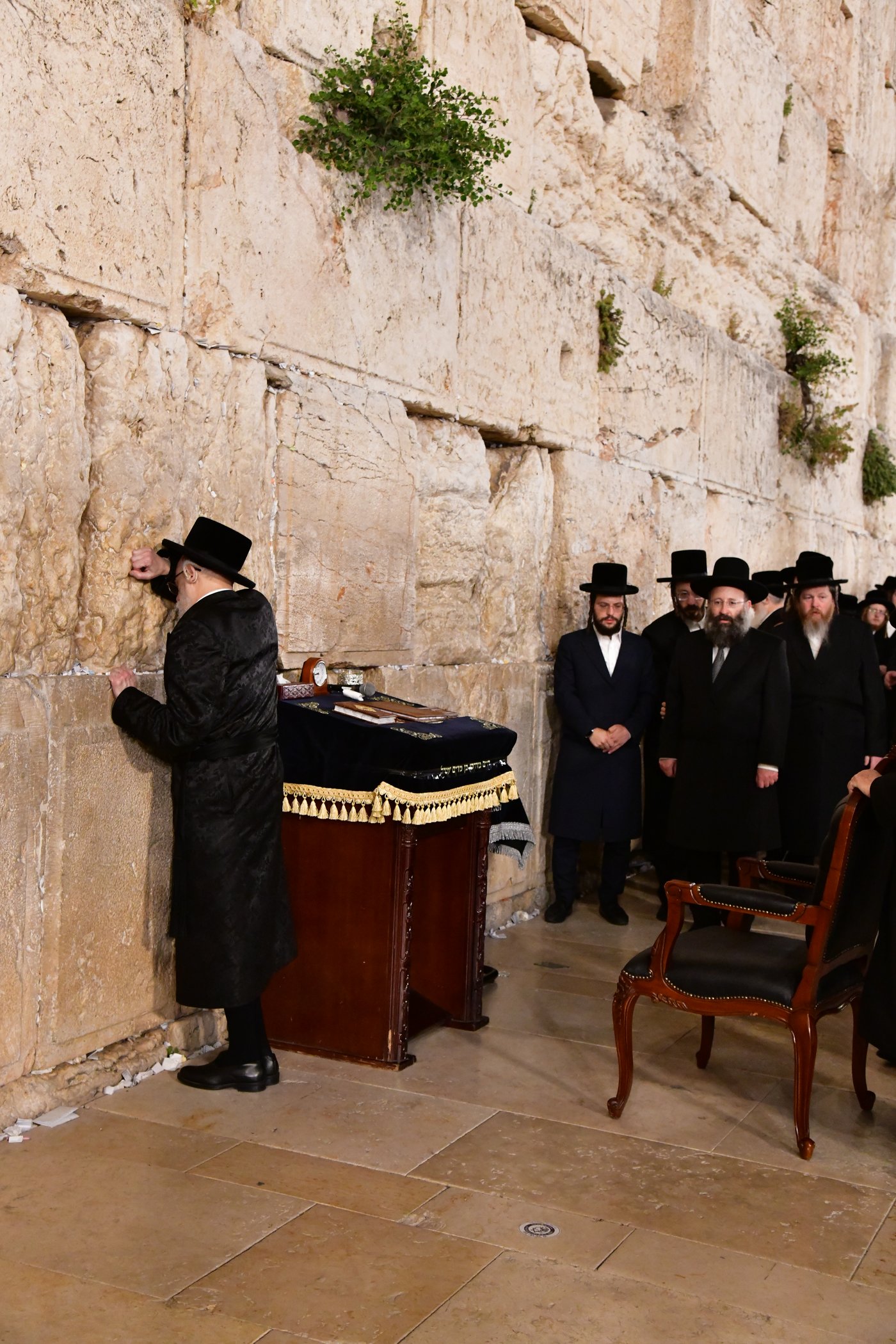 האדמו"ר מסערט ויז'ניץ בתפילה ע"י הכותל המערבי