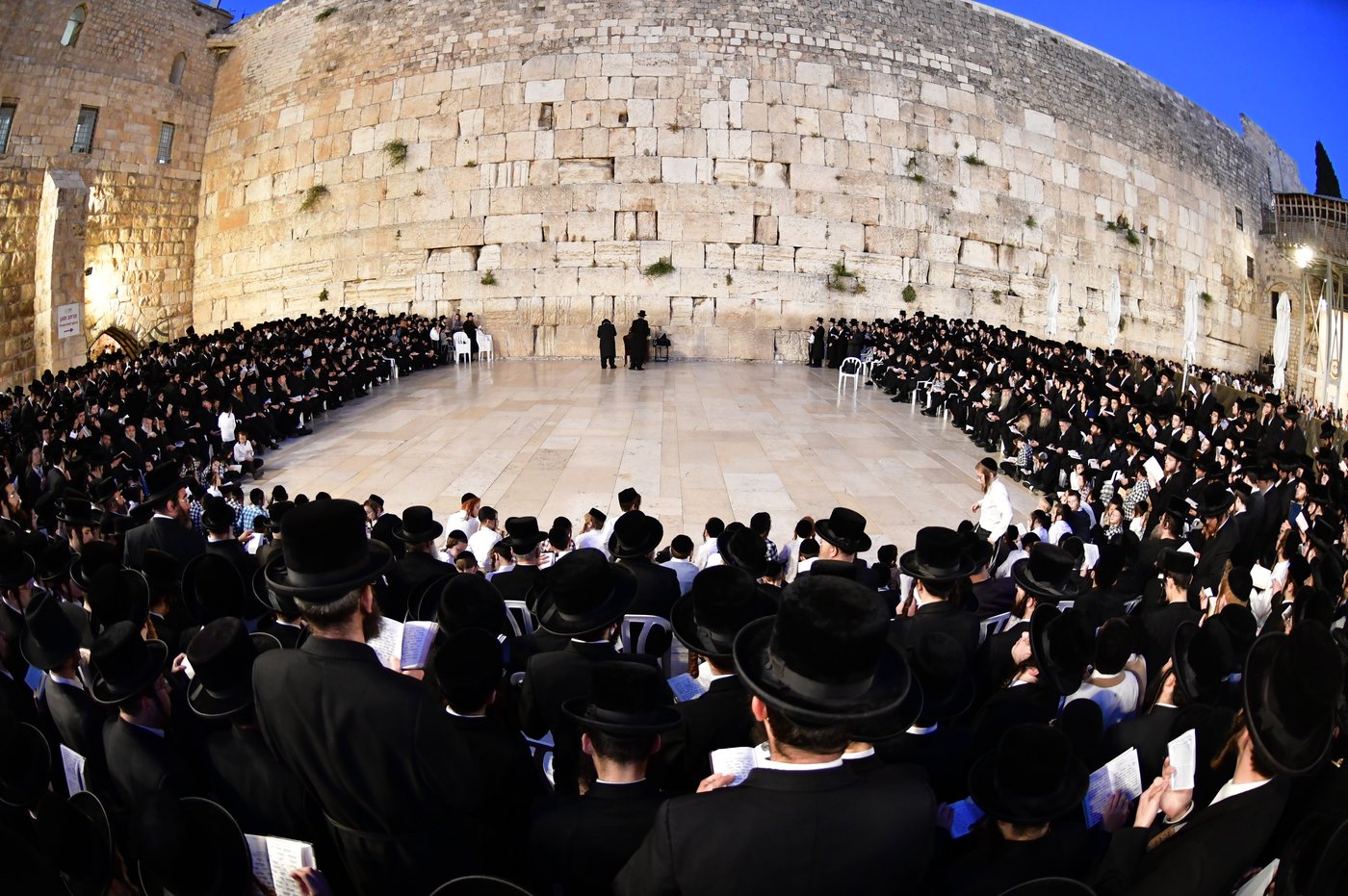 האדמו"ר מסערט ויז'ניץ בתפילה ע"י הכותל המערבי