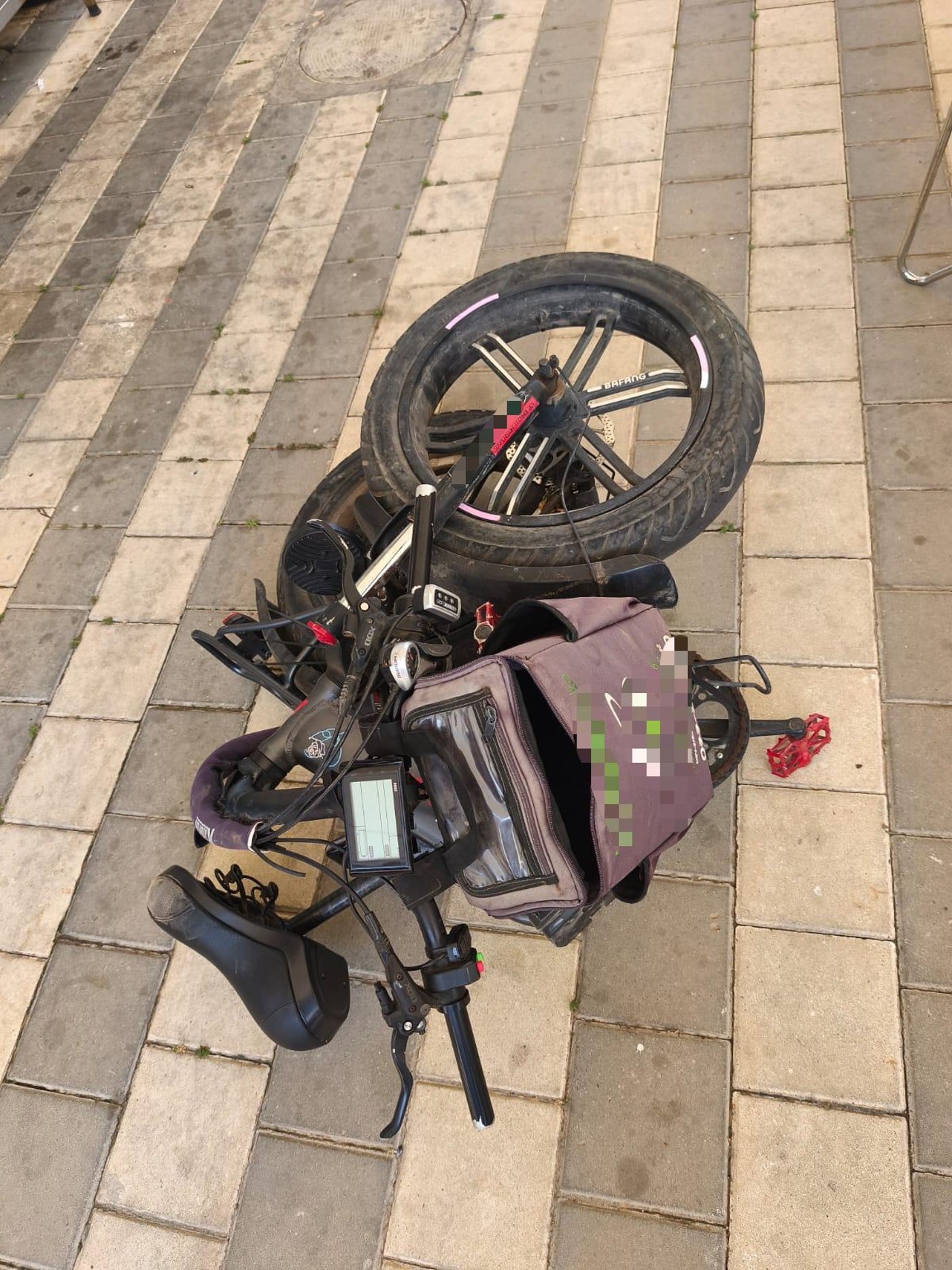 פעילות הכוחות והמעצר