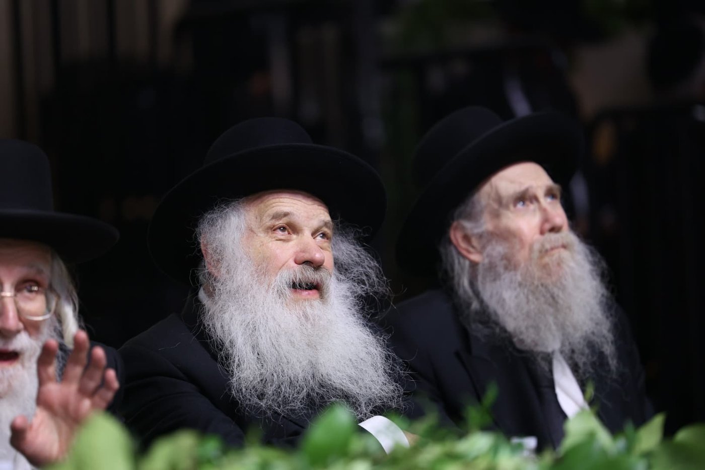 מעמד אדירי התורה בליקווד