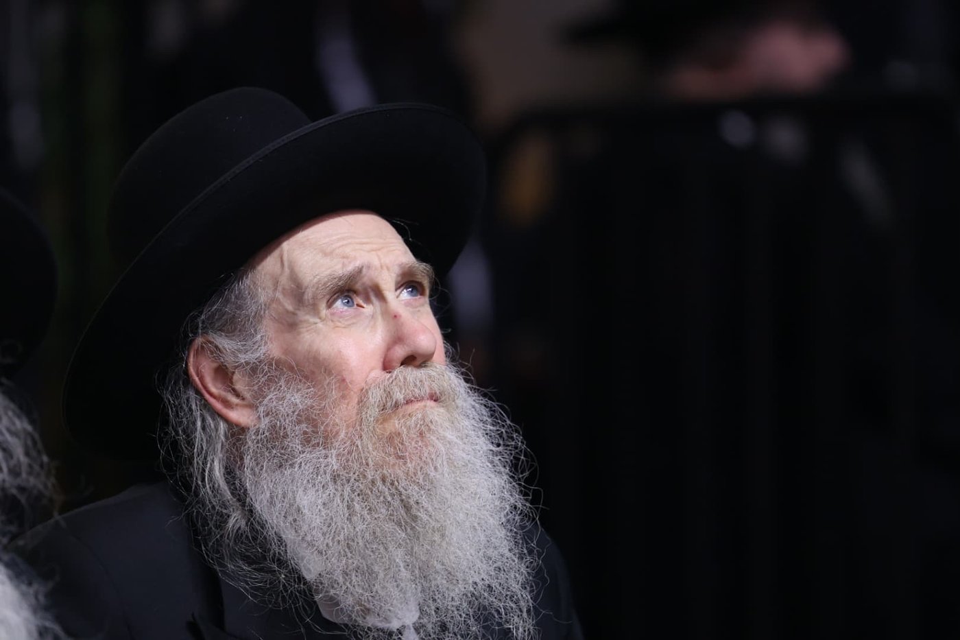 מעמד אדירי התורה בליקווד