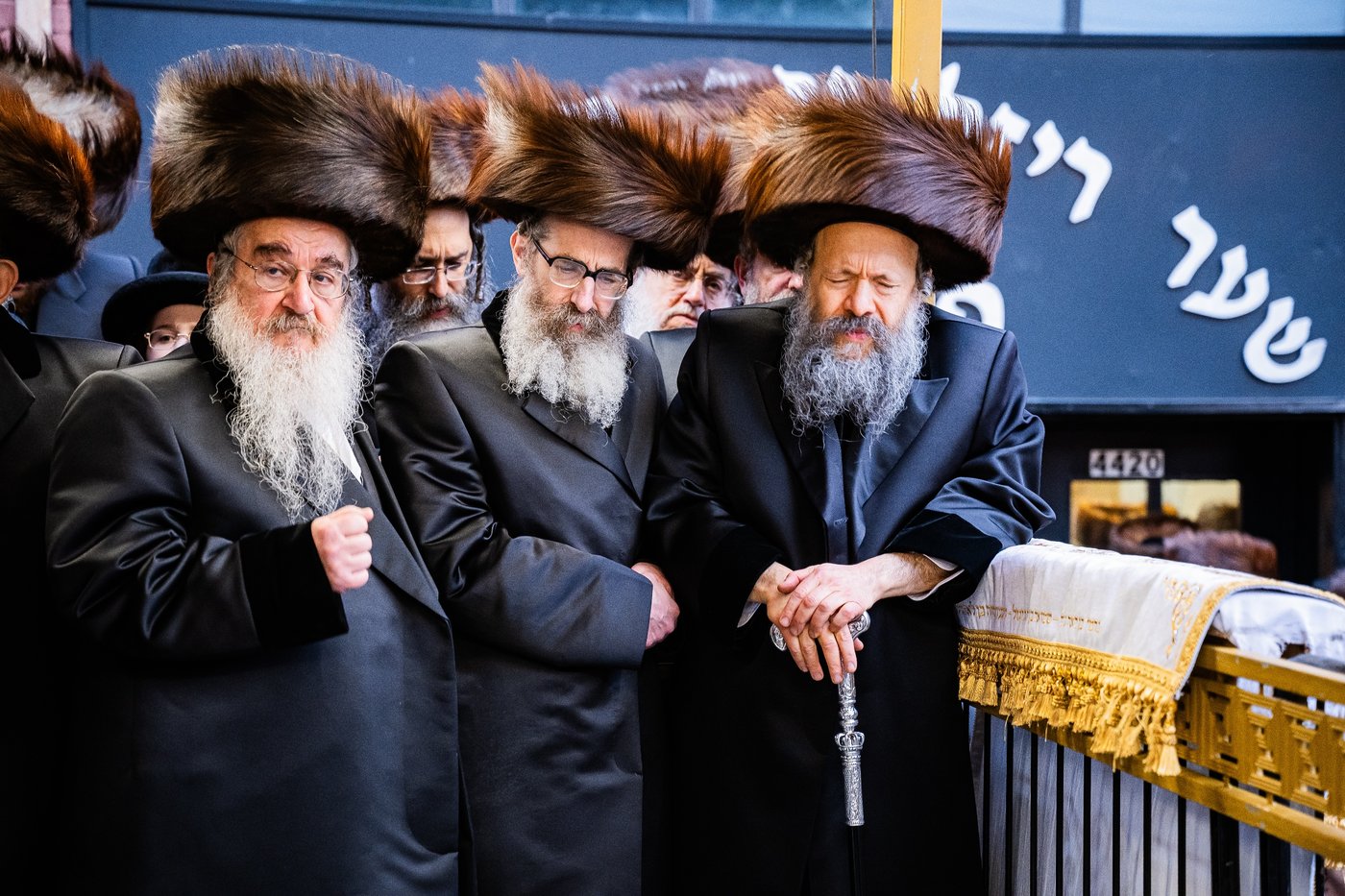 שמחת נישואי נכדת האדמו"ר מבאבוב - 45