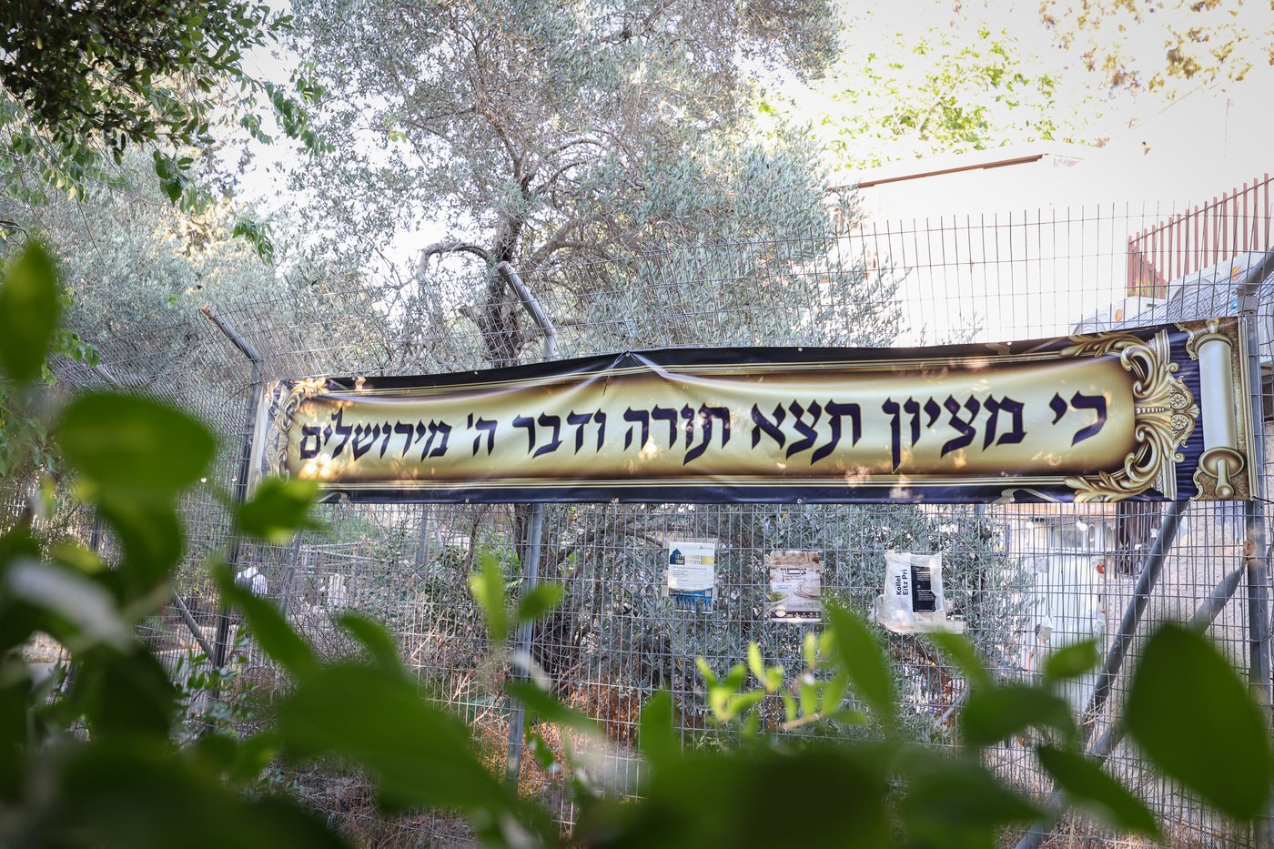 הכנסת ס"ת לקהילת 'בית שלמה' בירושלים