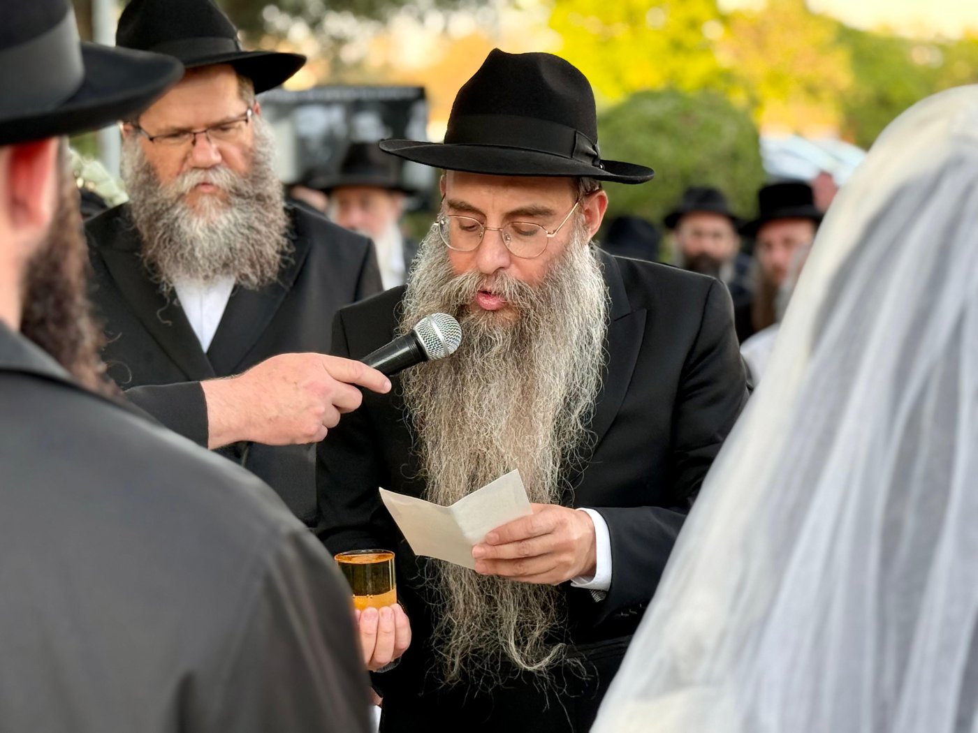 חתונת דוב בער הכטמן 
