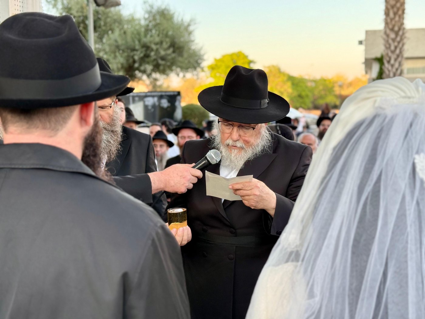 חתונת דוב בער הכטמן 
