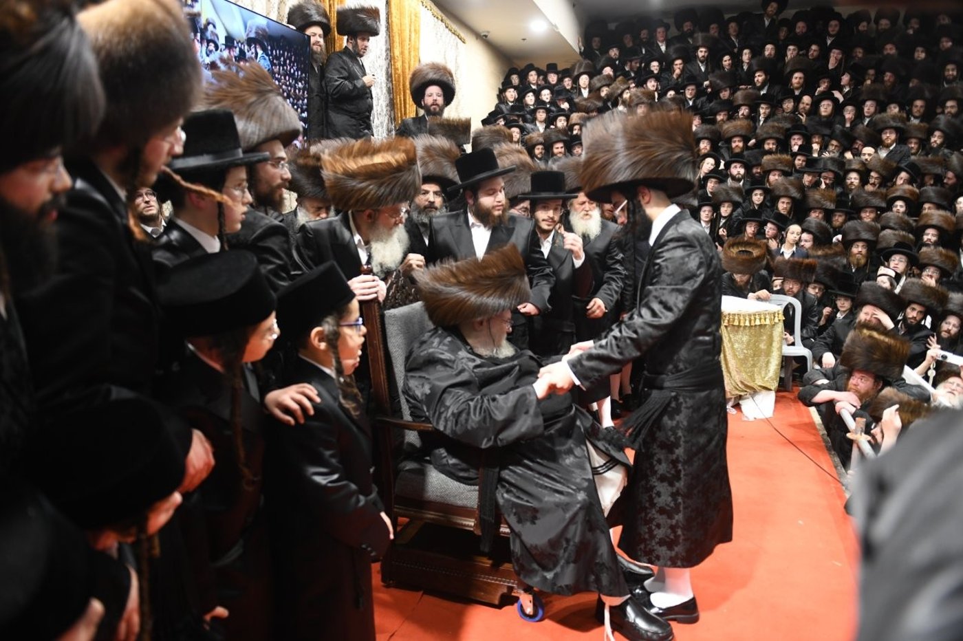 שמחת נישואי נכדת האדמו"ר מבעלזא