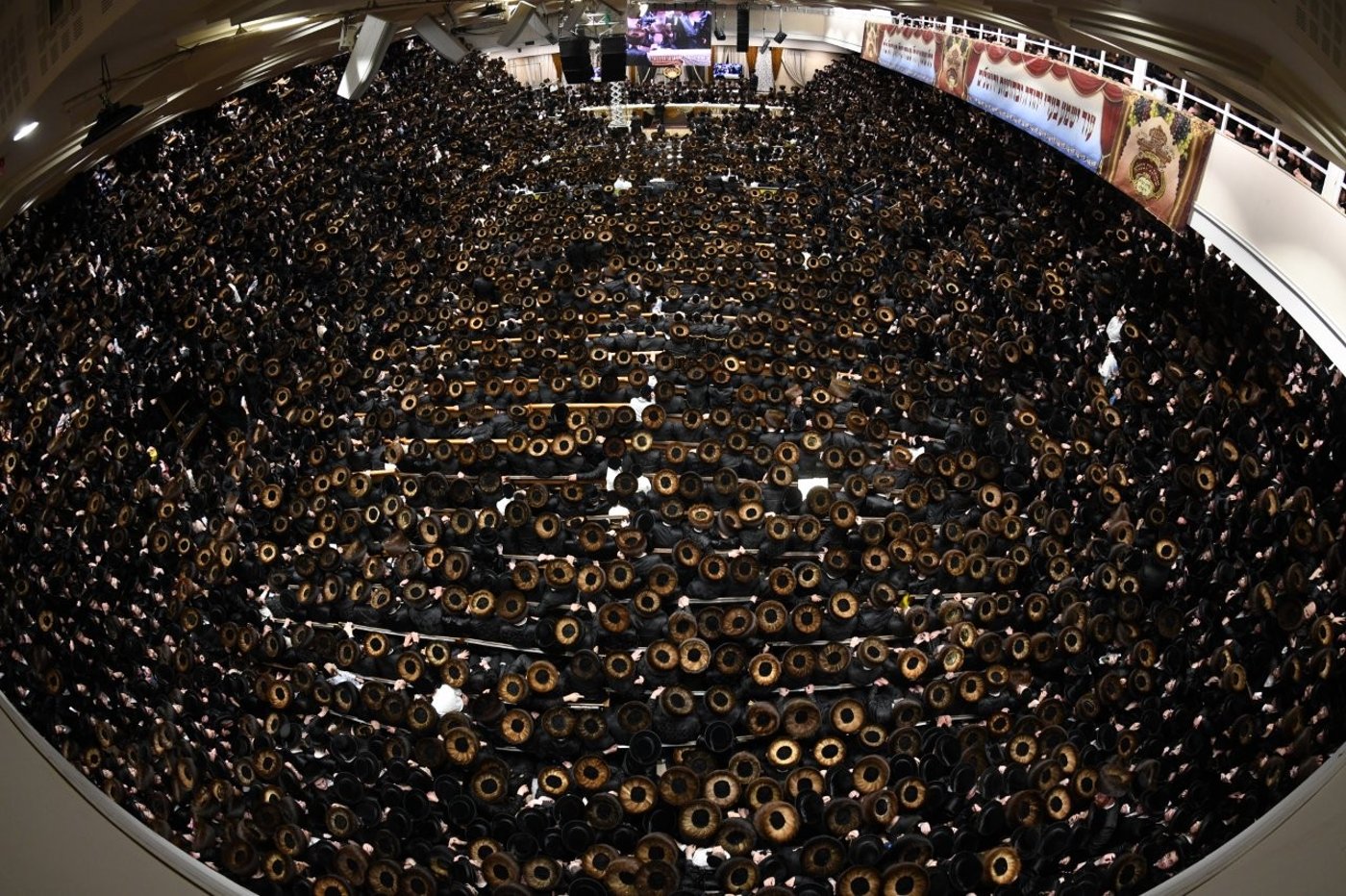 שמחת נישואי נכדת האדמו"ר מבעלזא