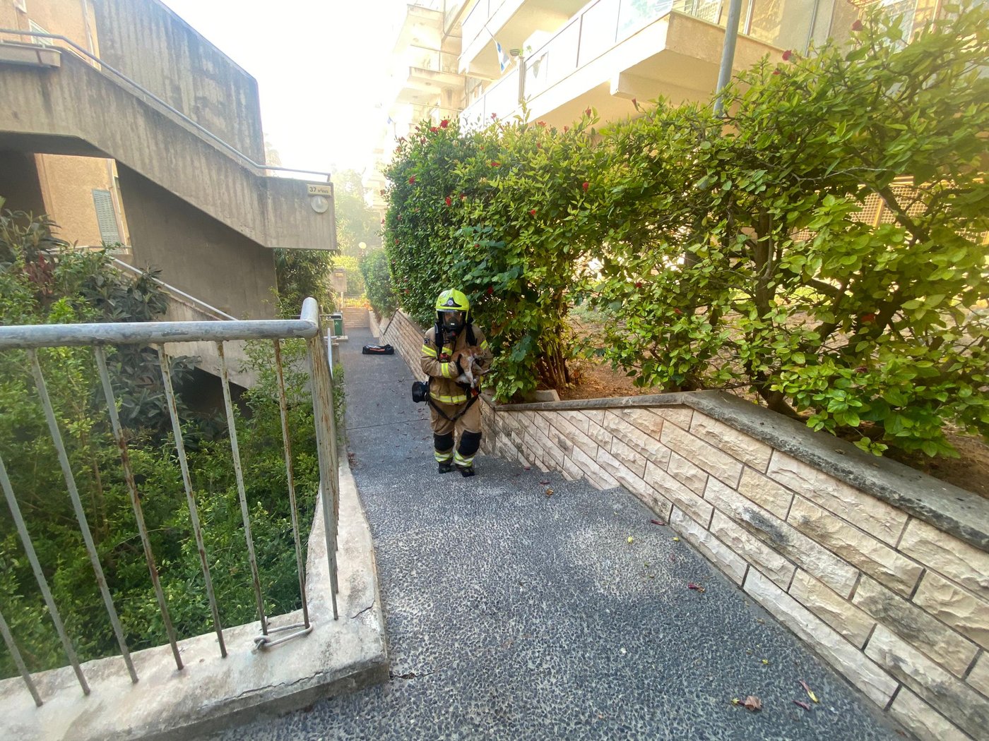 השריפה בחיפה
