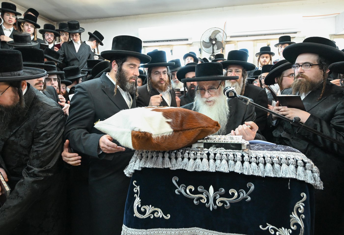 הילולא קדישא בצאנז