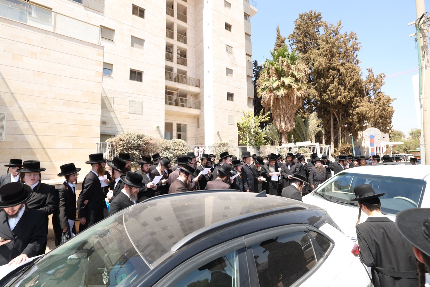 האדמו"ר משבט הלוי בתפילה ביהוד