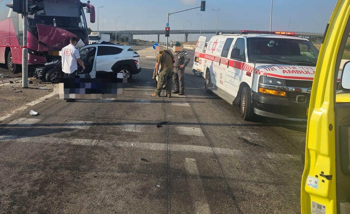 כך נראית הזירה