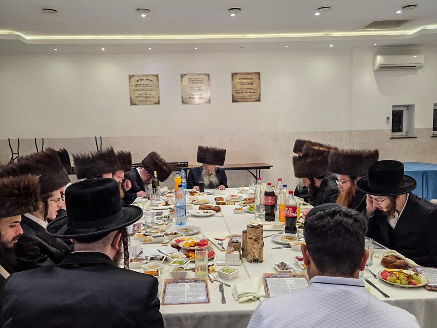 הגה"צ רבי יהושע רובין, אב"ד באבוב 45 במסע הקודש באירופה