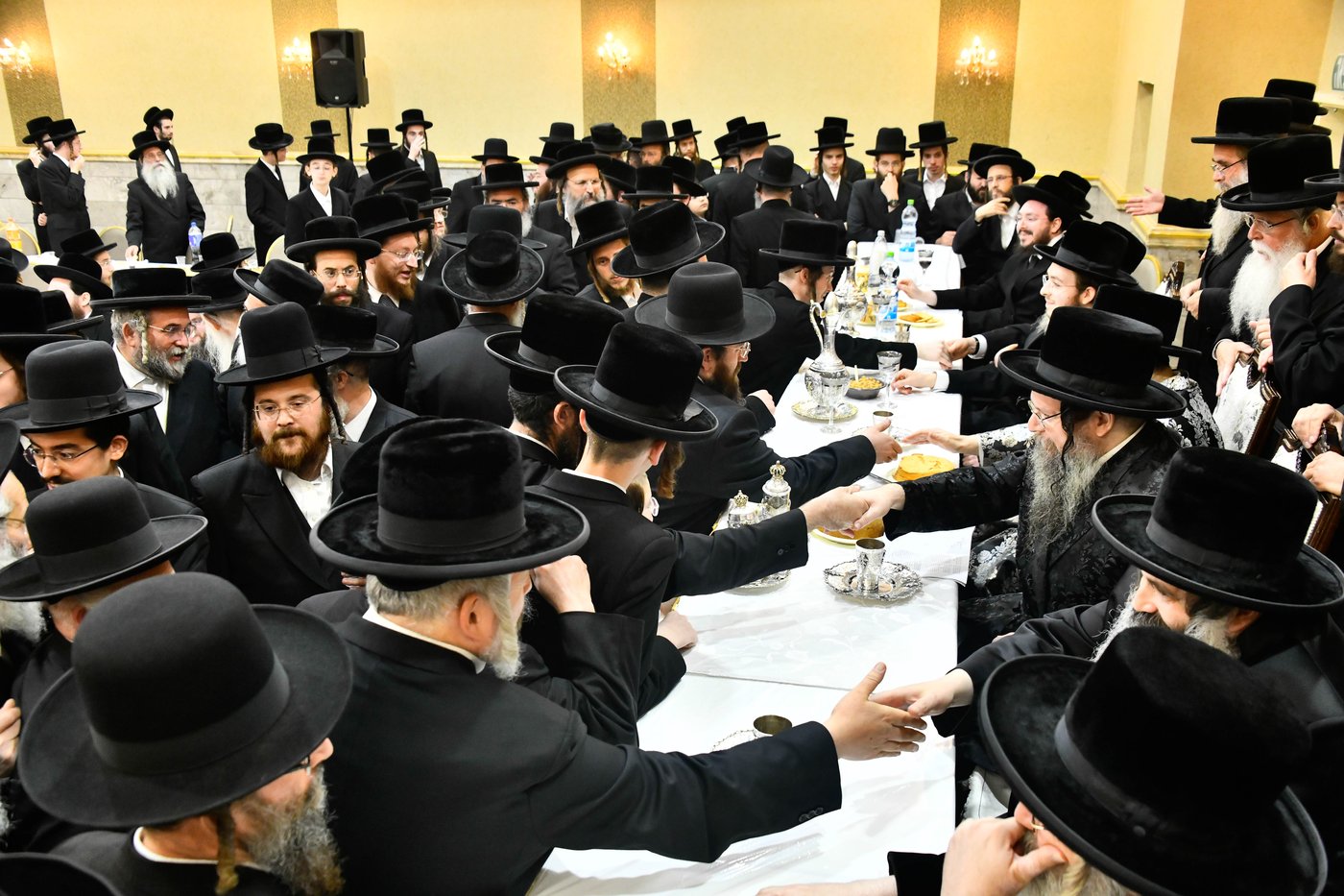 שמחת בית טעמשוואר אלעד - קרלין סטולין - דז'יקוב ויזניץ