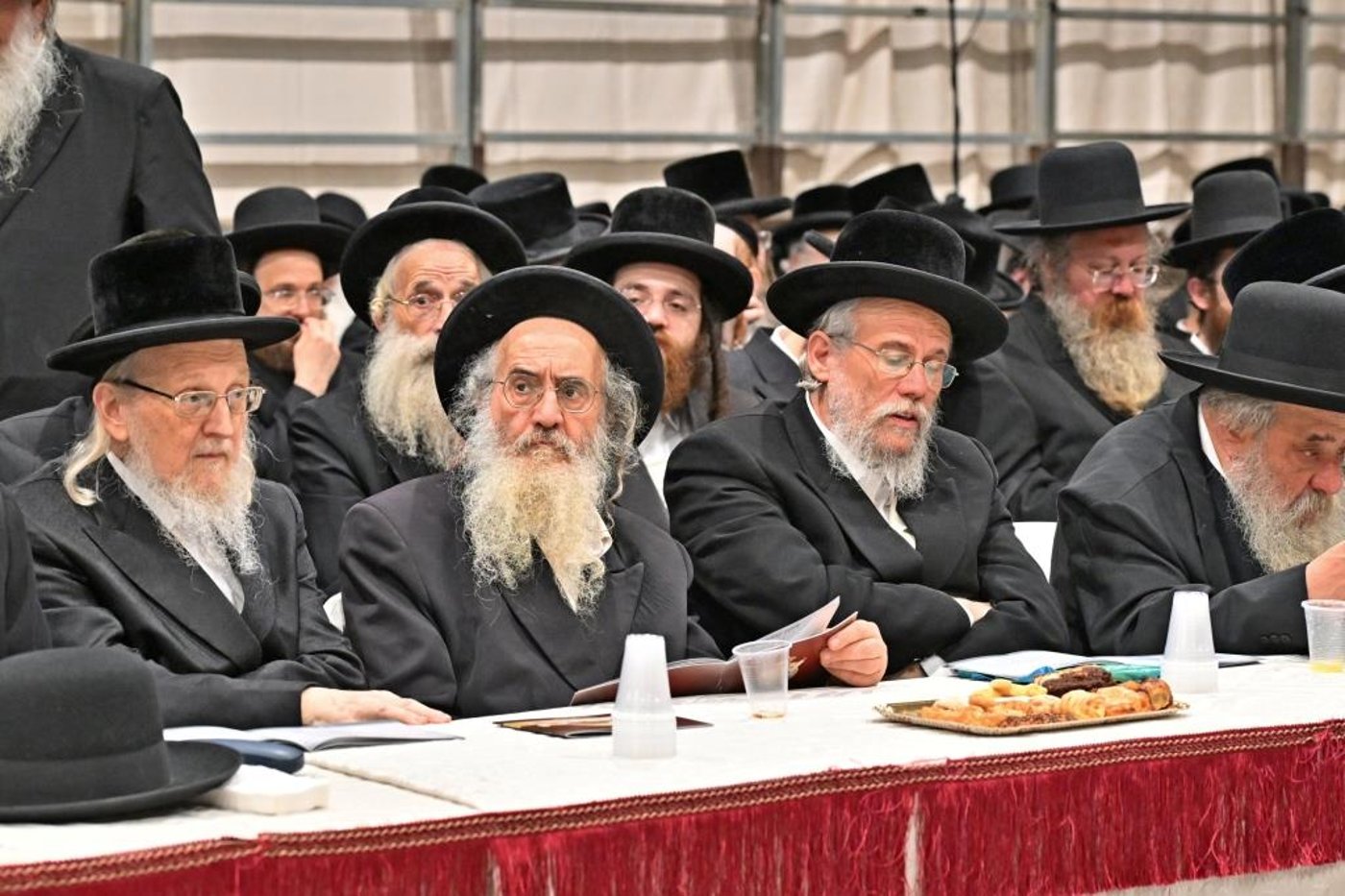 יום שכולו תורה בת"ת 'זיו התורה' 