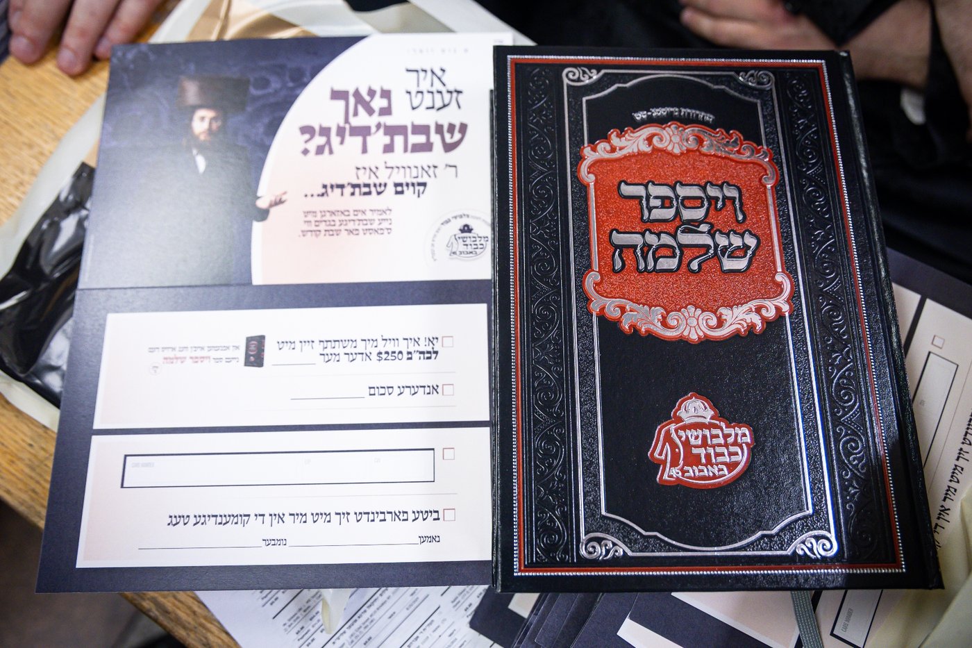הילולא קדישא בבאבוב 45