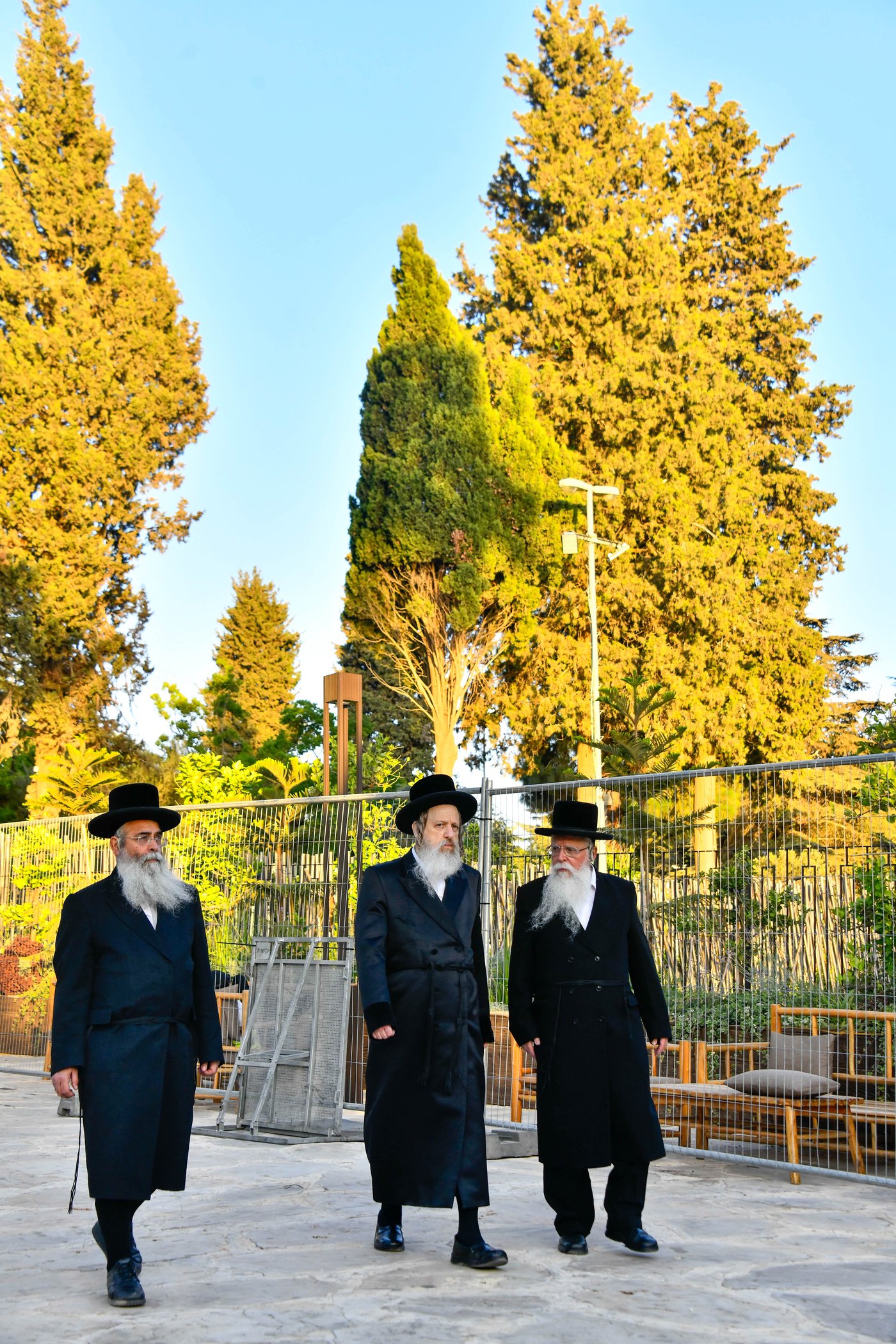 האדמו"רים בנאות דשא במעלה החמישה