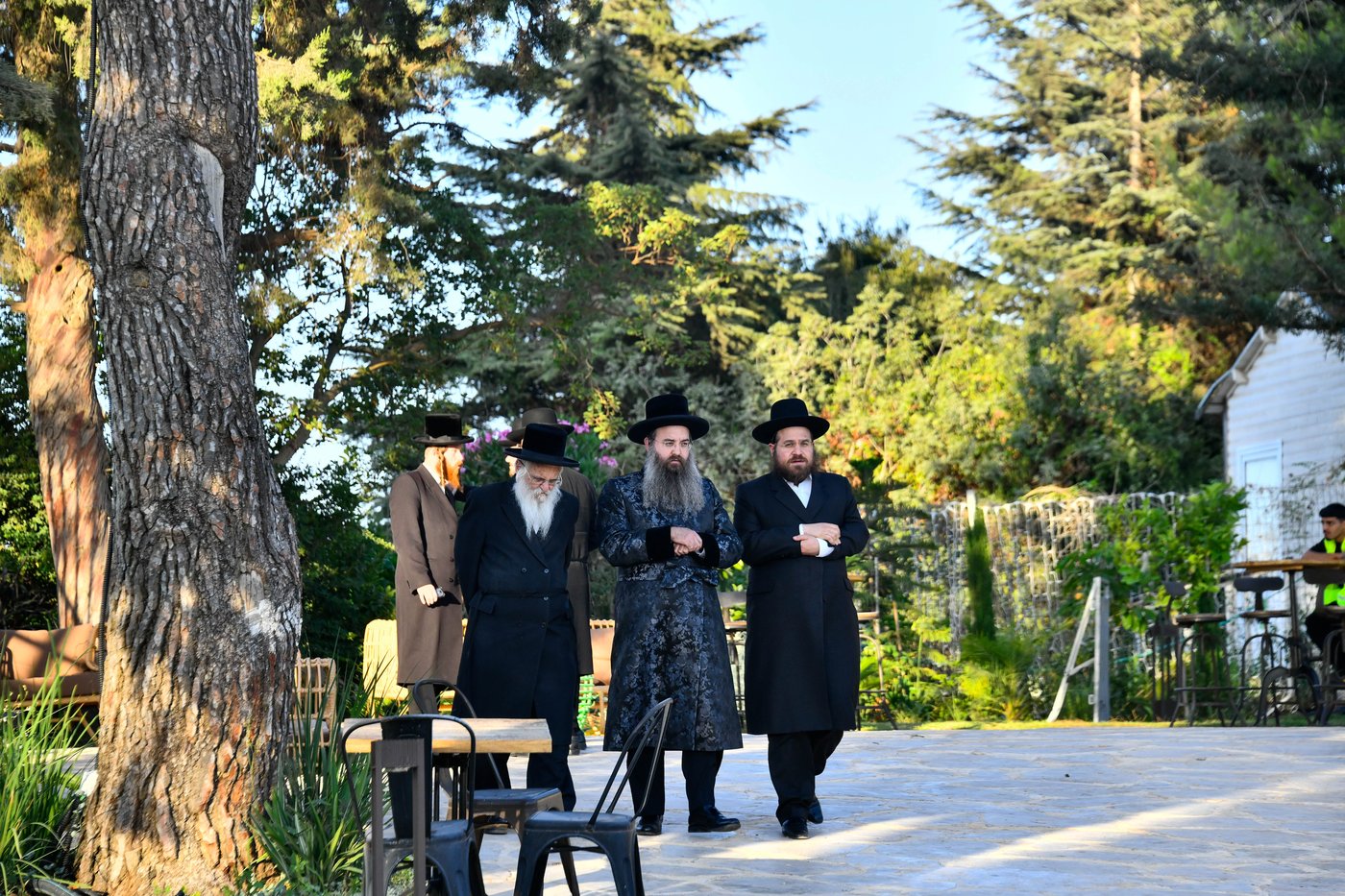 האדמו"רים בנאות דשא במעלה החמישה