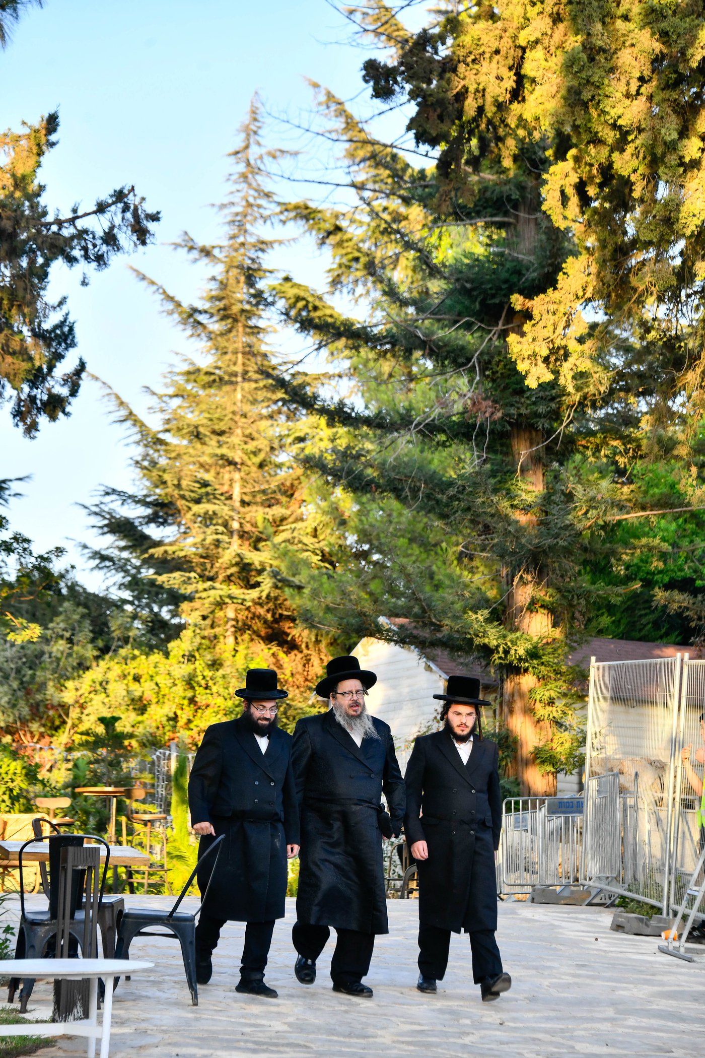 האדמו"רים בנאות דשא במעלה החמישה