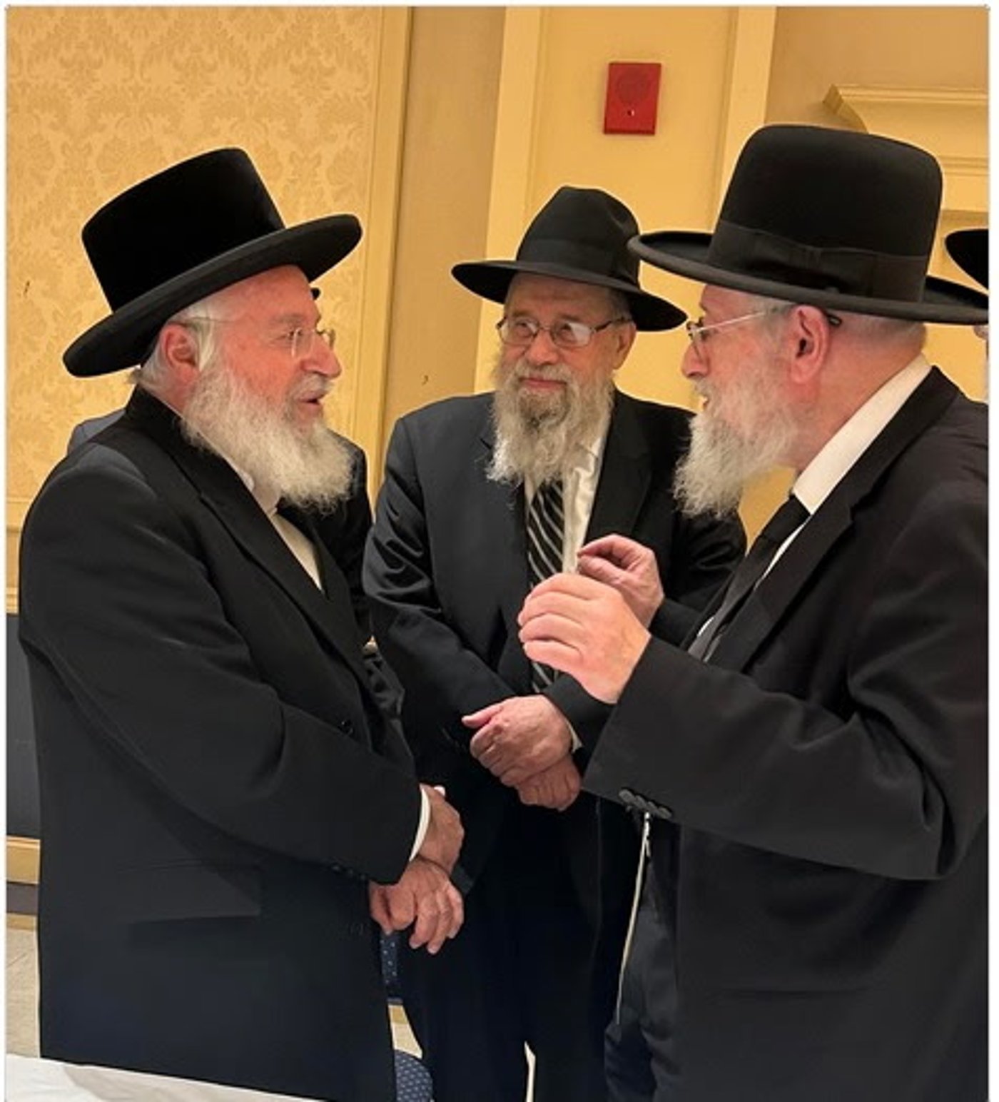 הביקור של הגר"א וויס בארה"ב