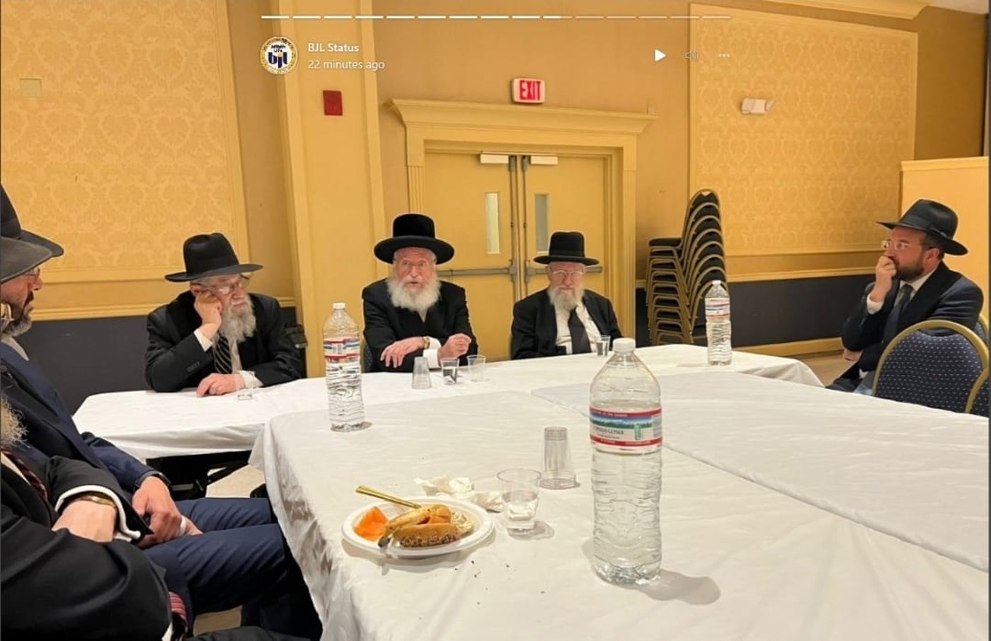 הביקור של הגר"א וויס בארה"ב