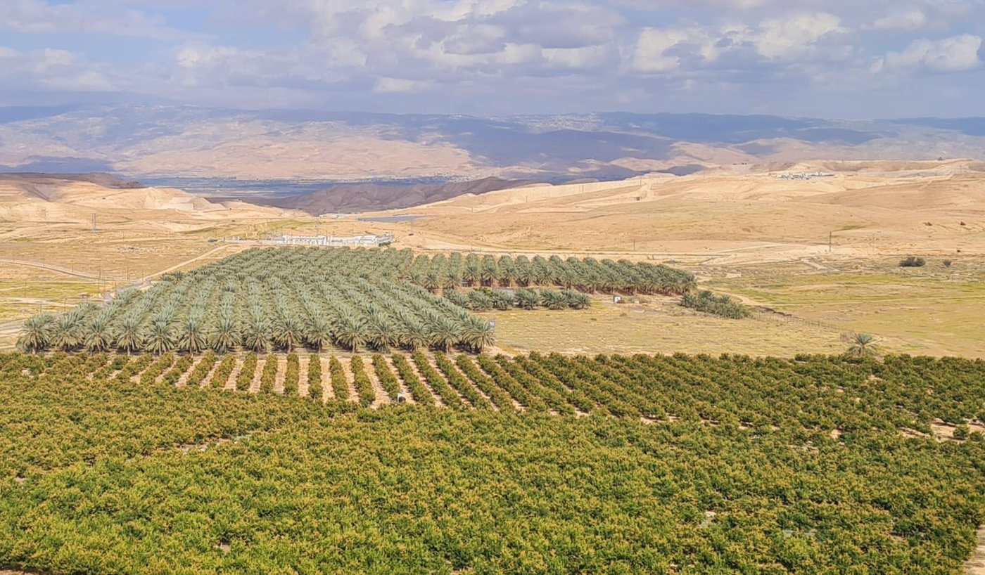   הצימר שוכן למרגלות מטעי תמרים ונוף מדברי, שקט ושלוות נפש במנות גדושות.