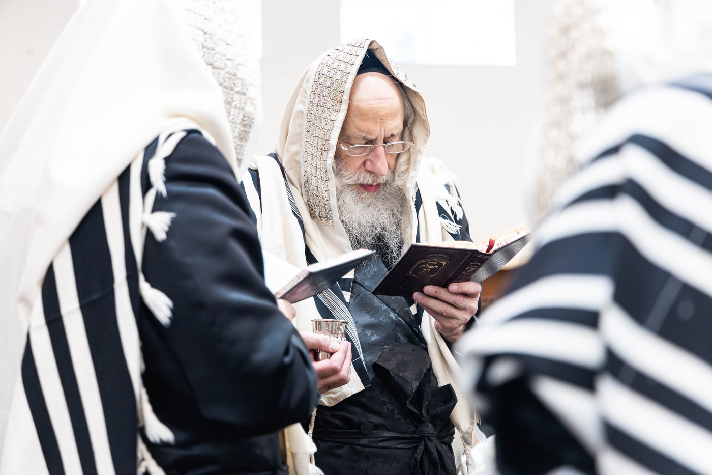 שמחת הברית לנין האדמו"ר מבאבוב 45