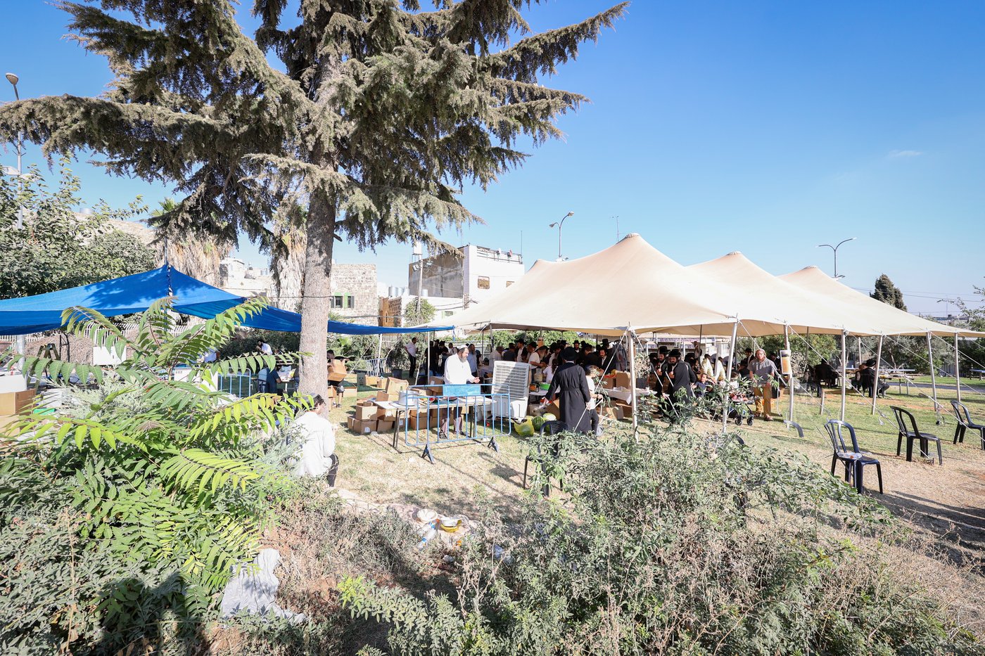 הרה"צ רבי אלימלך בידרמן בתפילה במערת המכפלה