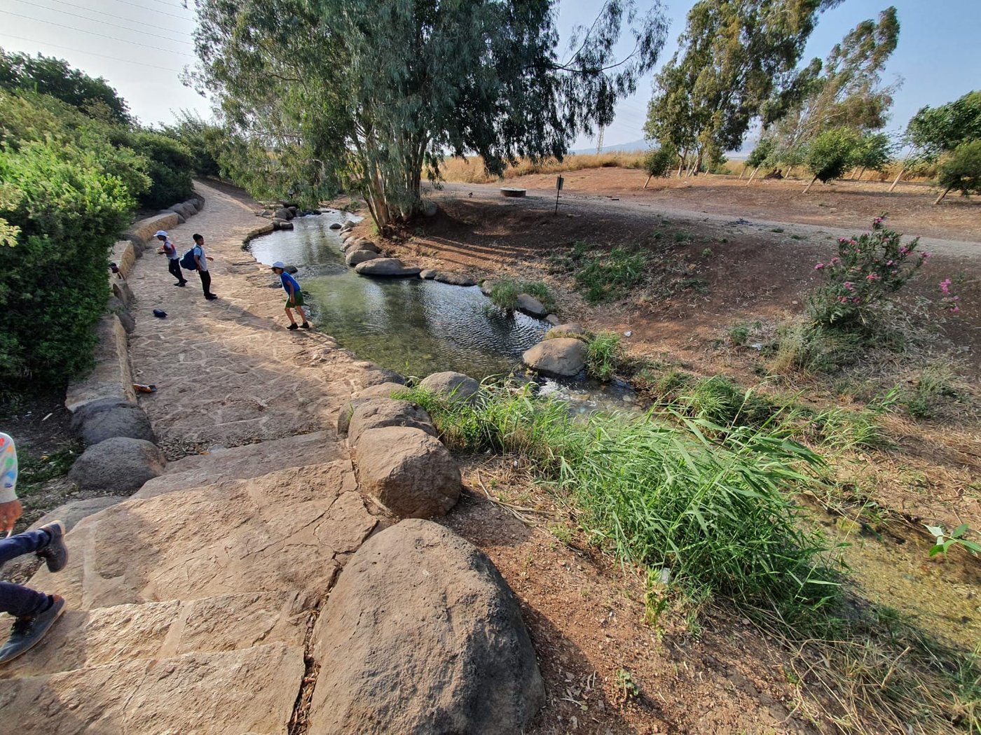 מעין גדעון [מתוך ספר 'המקומות הנדירים הקדושים והרטובים בארץ ישראל]