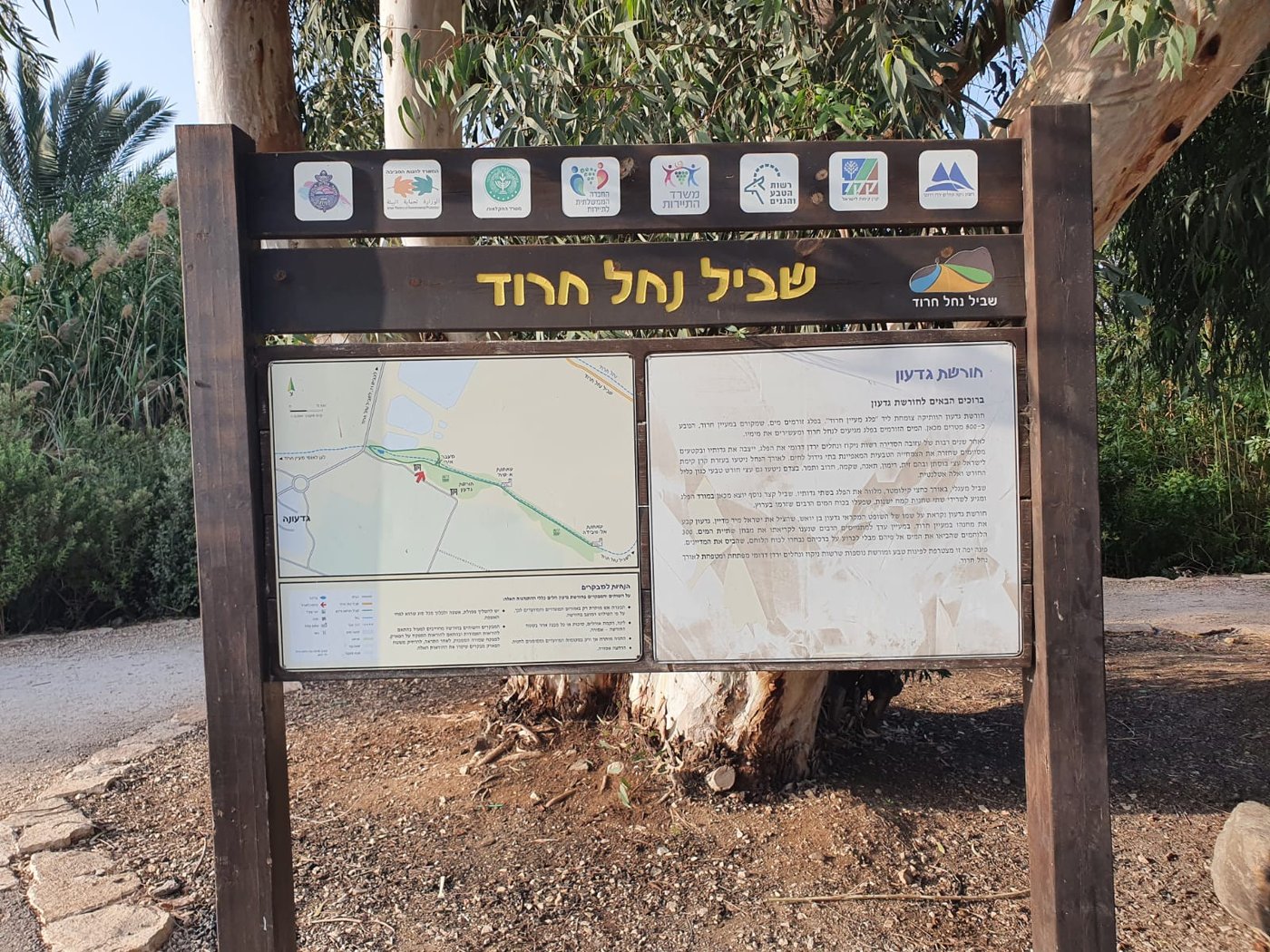 מעין גדעון [מתוך ספר 'המקומות הנדירים הקדושים והרטובים בארץ ישראל]