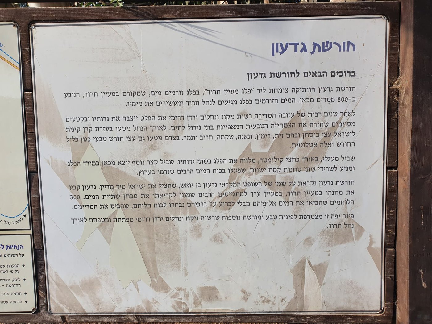 מעין גדעון [מתוך ספר 'המקומות הנדירים הקדושים והרטובים בארץ ישראל]
