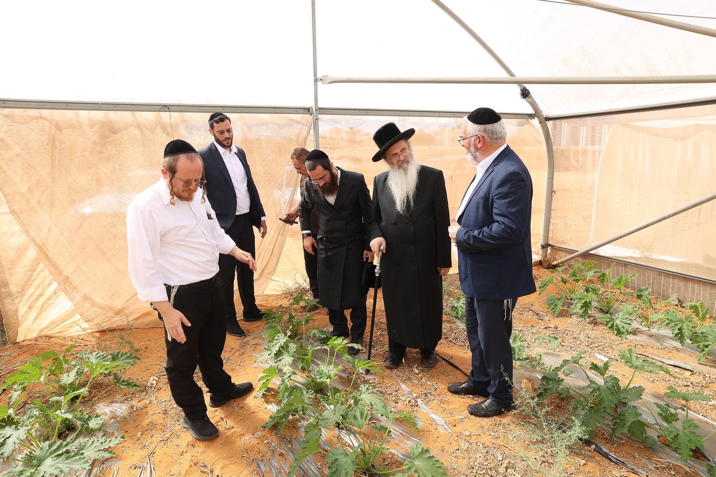 רבה של אנטוורפן הגר"פ פדווא בביקור במפעלים שבכשרות בד"ץ חוג חת"ס פ"ת