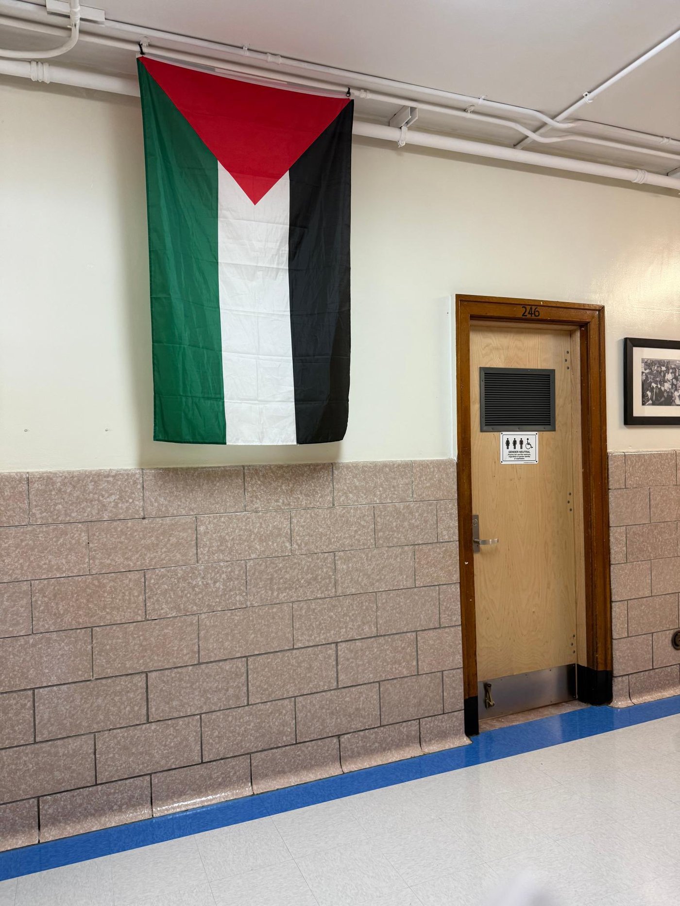ברוקלין: דגל פלסטין נתלה במסדרון בית ספר - המורים היהודים זועמים
