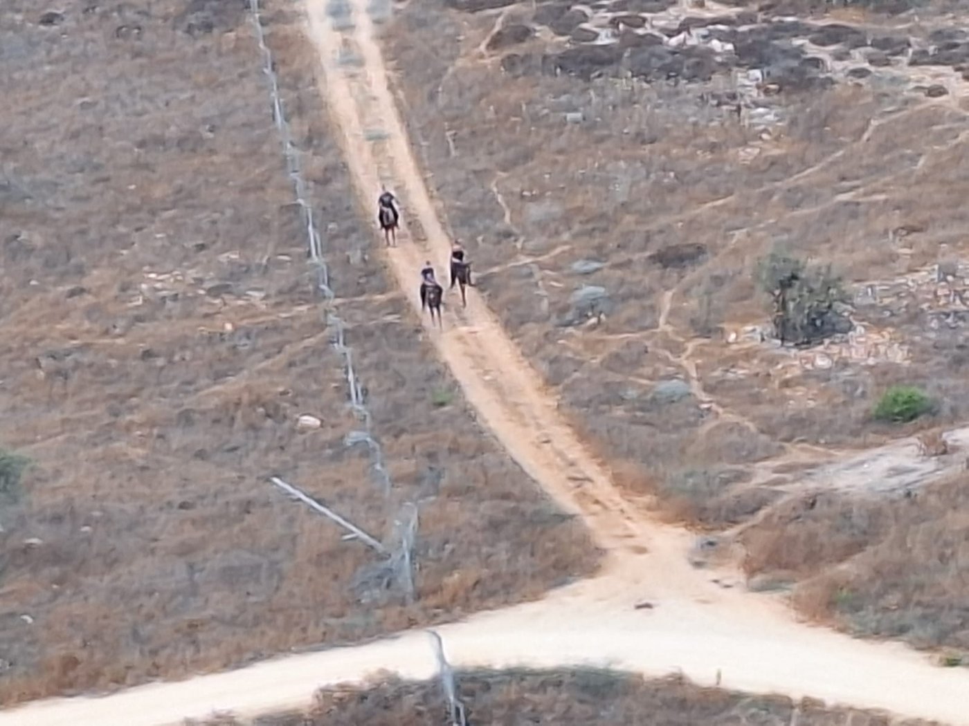 השבח"ים עושים את דרכם ללא הפרעה, לכיוון השכונה הירושלמית