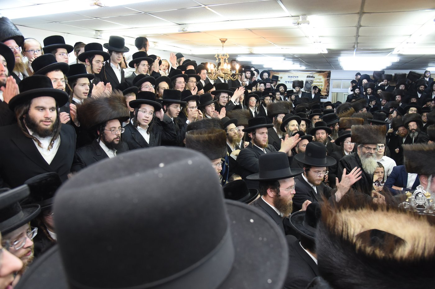 הכנסת ספר תורה לע"נ האברך הקדוש הרב אלתר שלמה לדרמן הי"ד