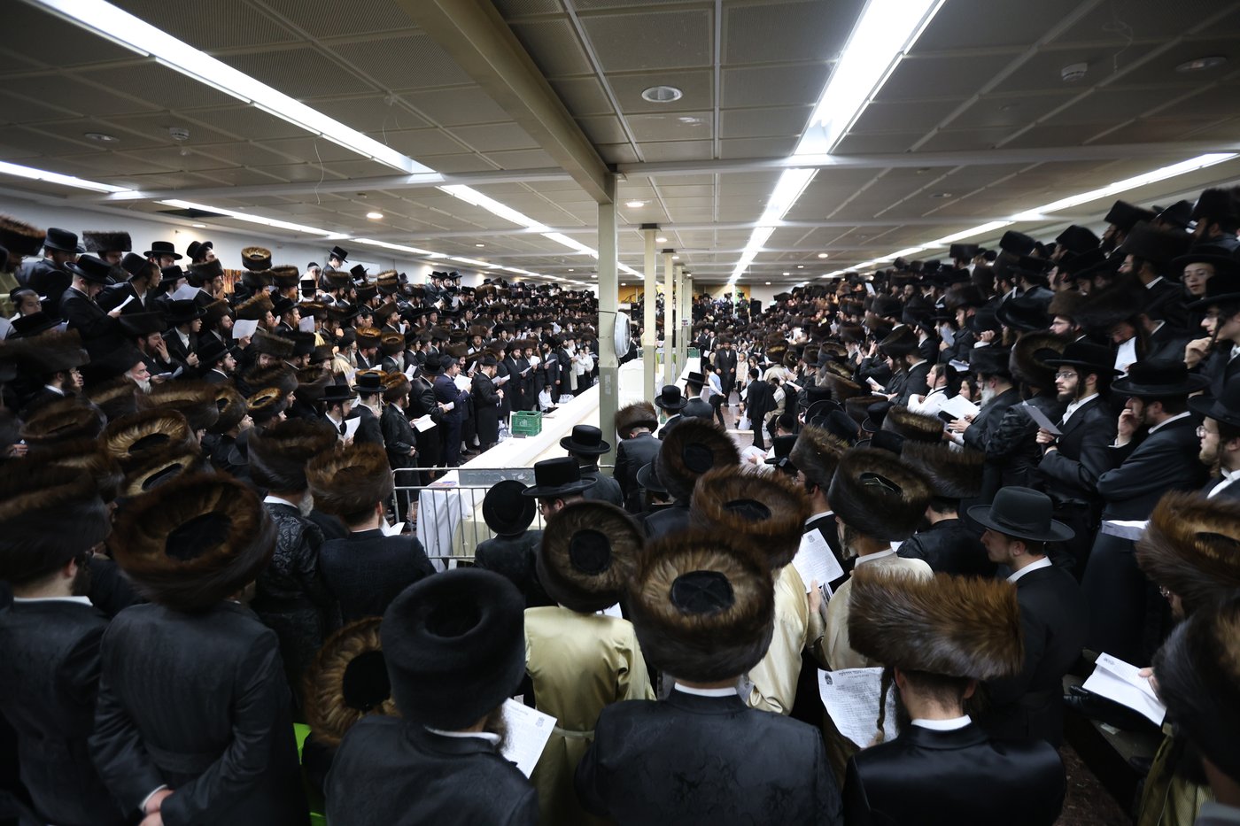 הרה"צ רבי אלימלך בידרמן שבת במירון
