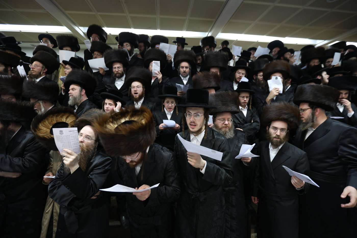 הרה"צ רבי אלימלך בידרמן שבת במירון