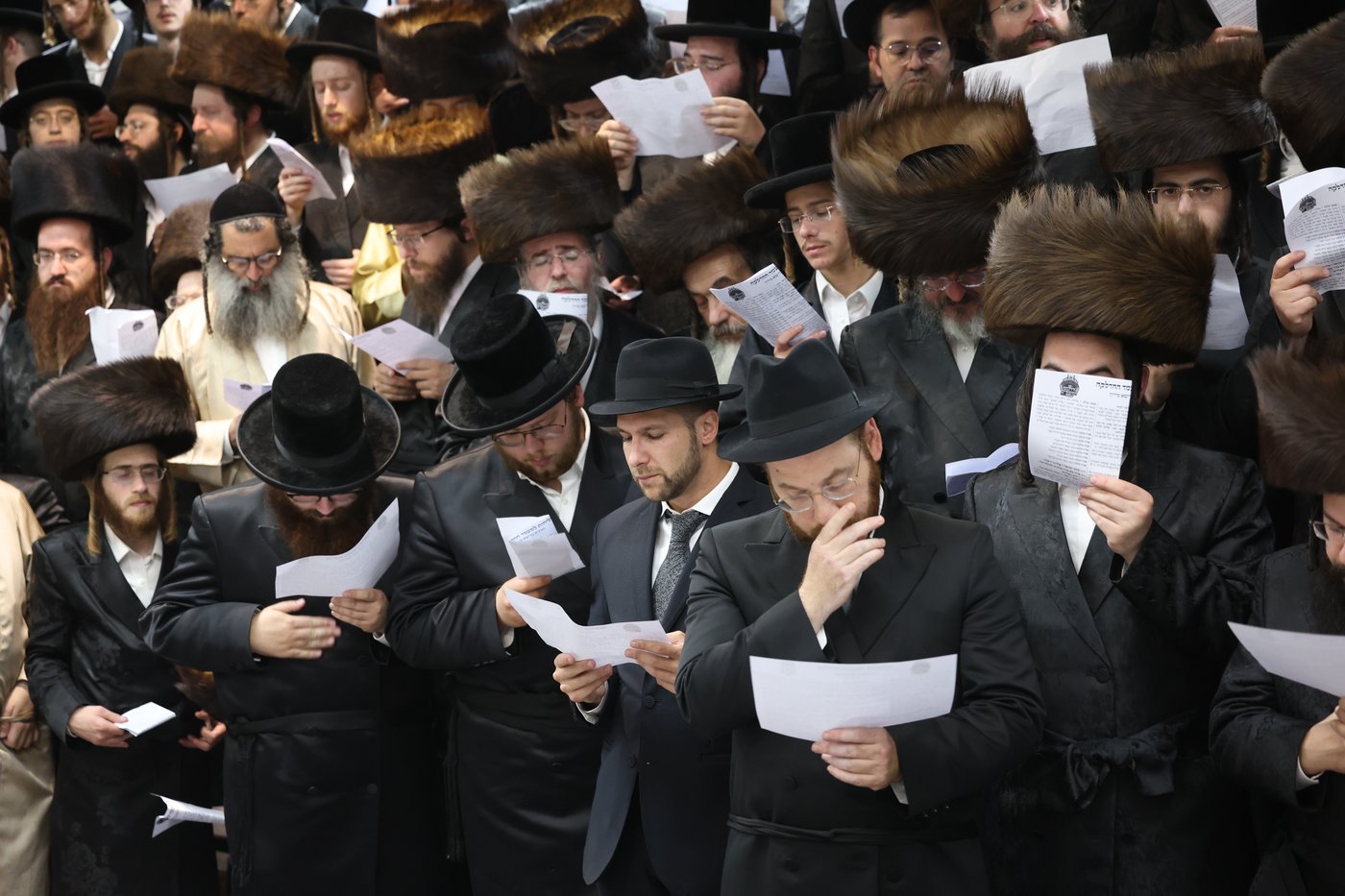הרה"צ רבי אלימלך בידרמן שבת במירון