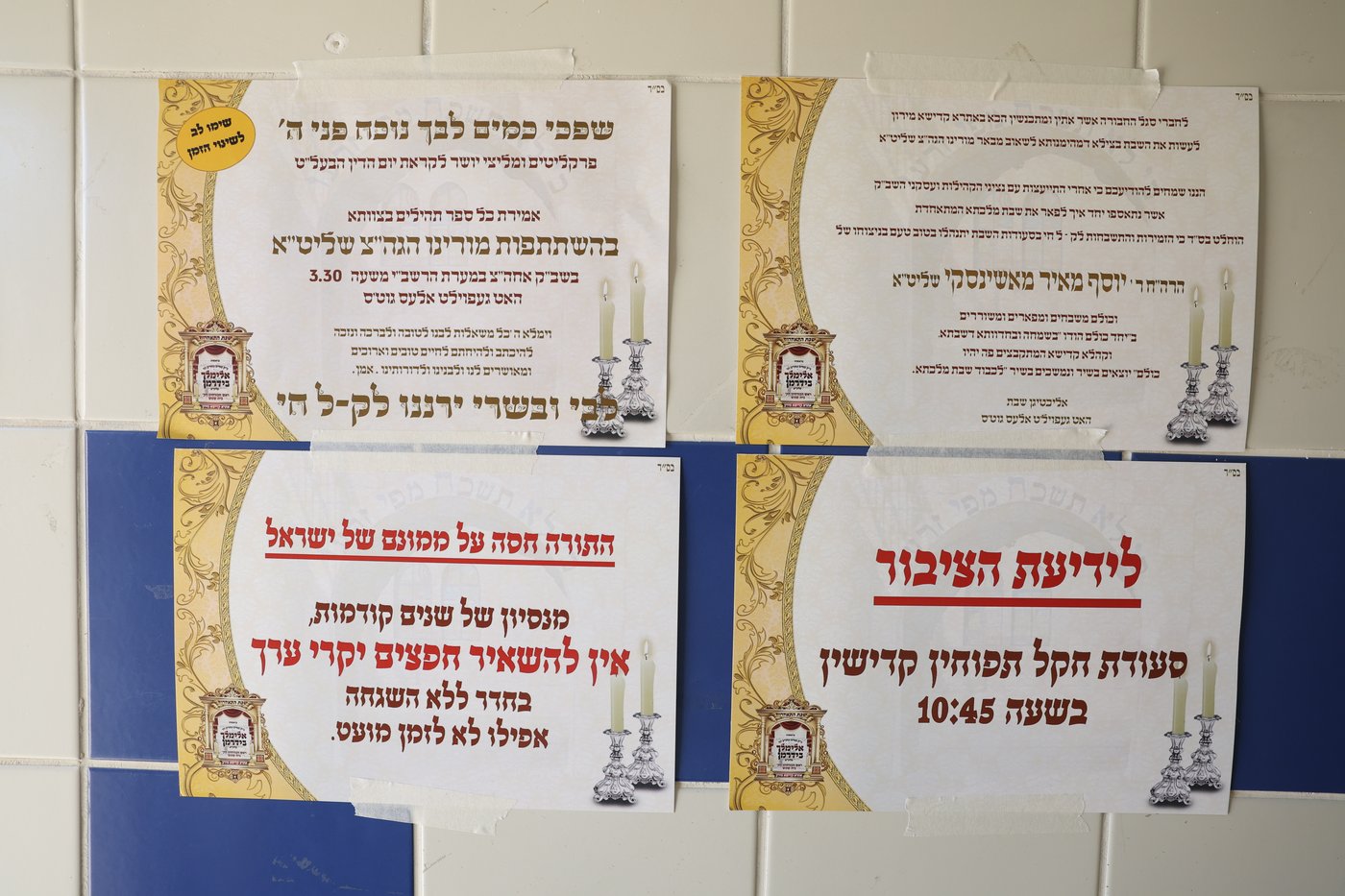 הרה"צ רבי אלימלך בידרמן שבת במירון