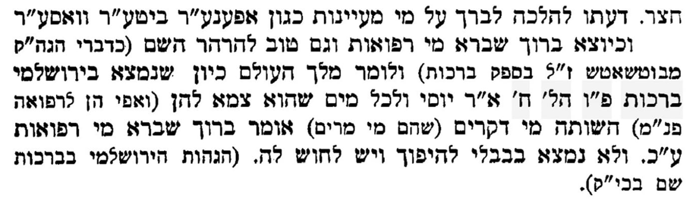 דברי הרבי ממונקאטש דרכי ב'דרכי חיים ושלום' עמ' צא