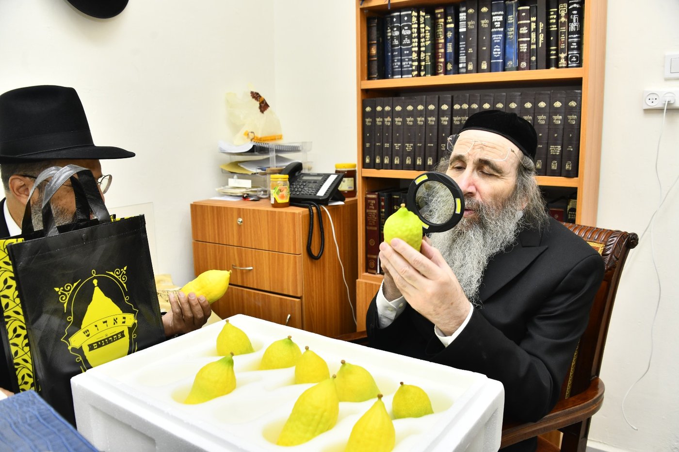 הגה"צ רבי בנימין פינקל בודק אתרוגים
