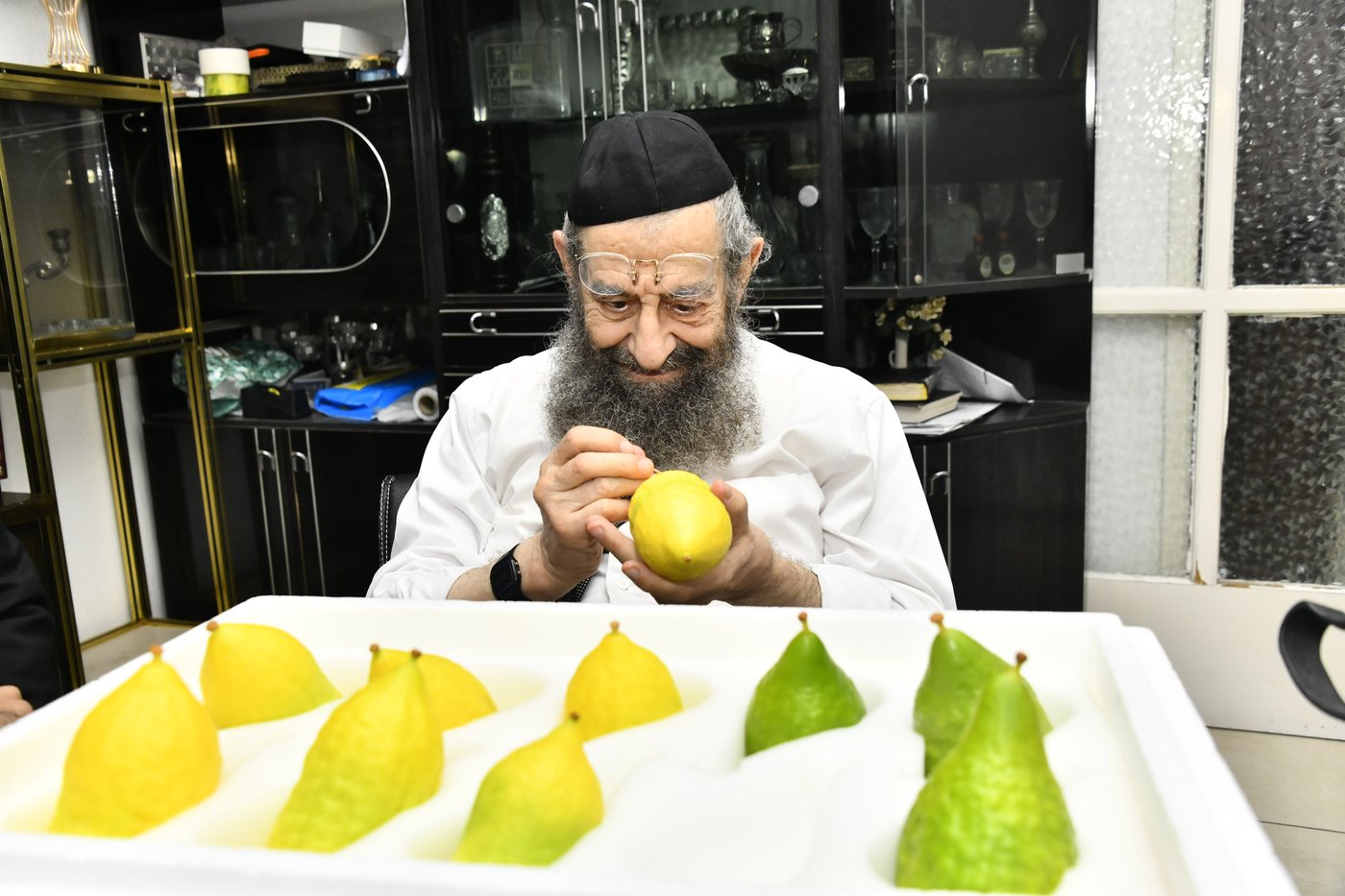 הגאון רבי מסעוד בן שמעון בבדיקת אתרוגים