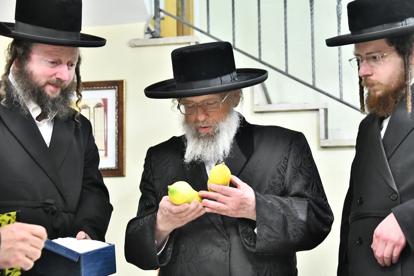 האדמו"ר מפינסק קרלין בבדיקת אתרוגים