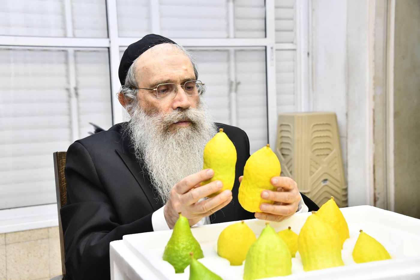 הגאון רבי שרגא שטיינמן בבדיקת אתרוגים