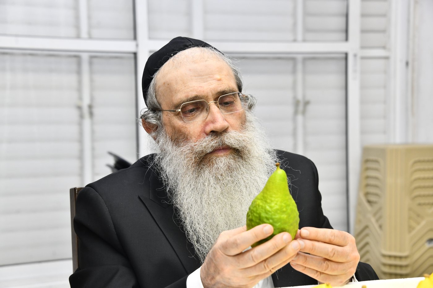 הגאון רבי שרגא שטיינמן בבדיקת אתרוגים