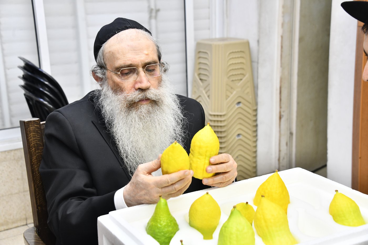 הגאון רבי שרגא שטיינמן בבדיקת אתרוגים