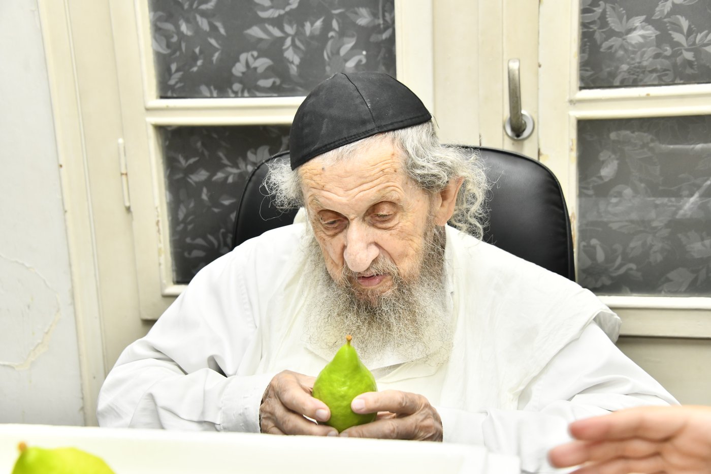 הגאון רבי דב לנדו בודק אתרוגים
