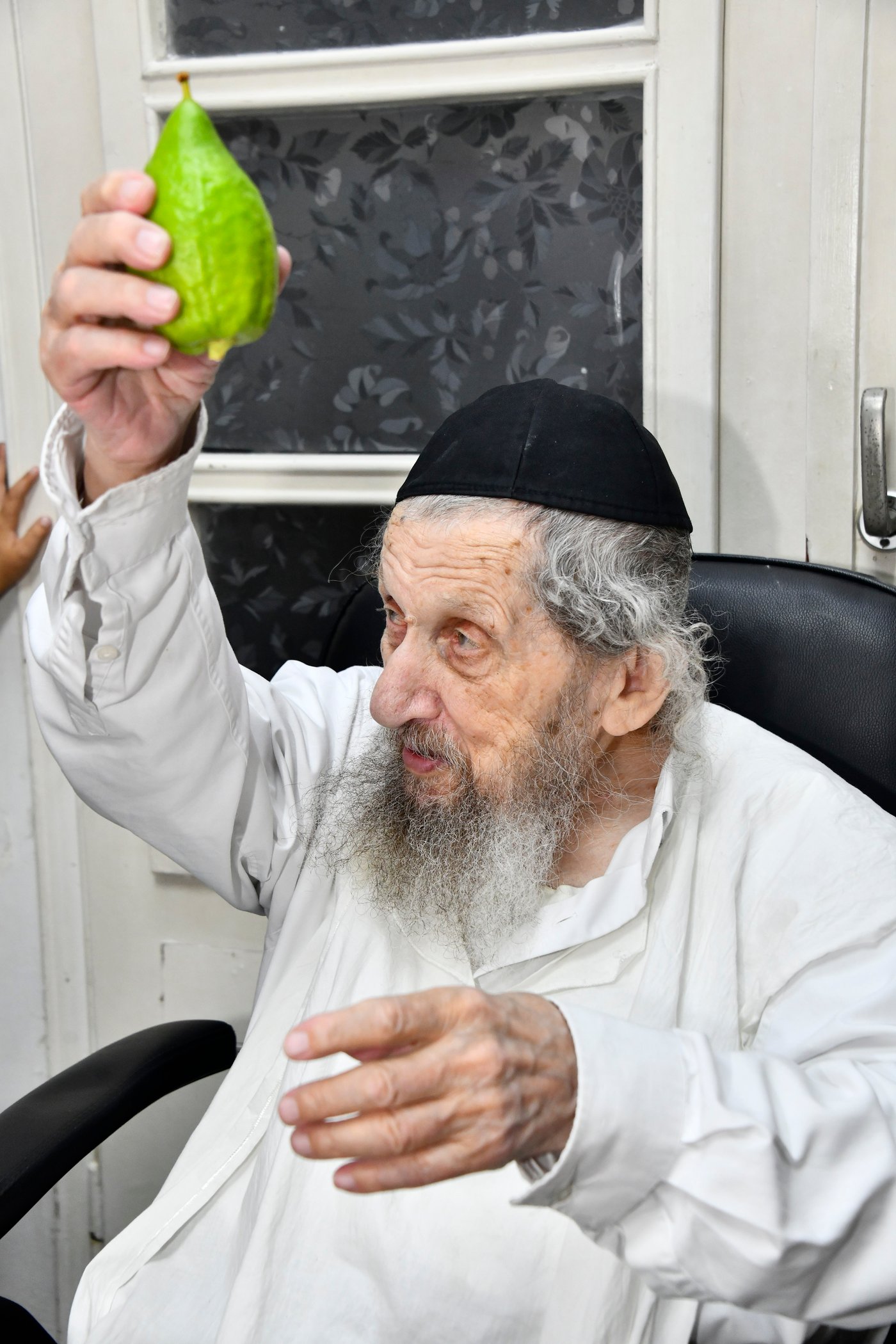 הגאון רבי דב לנדו בודק אתרוגים