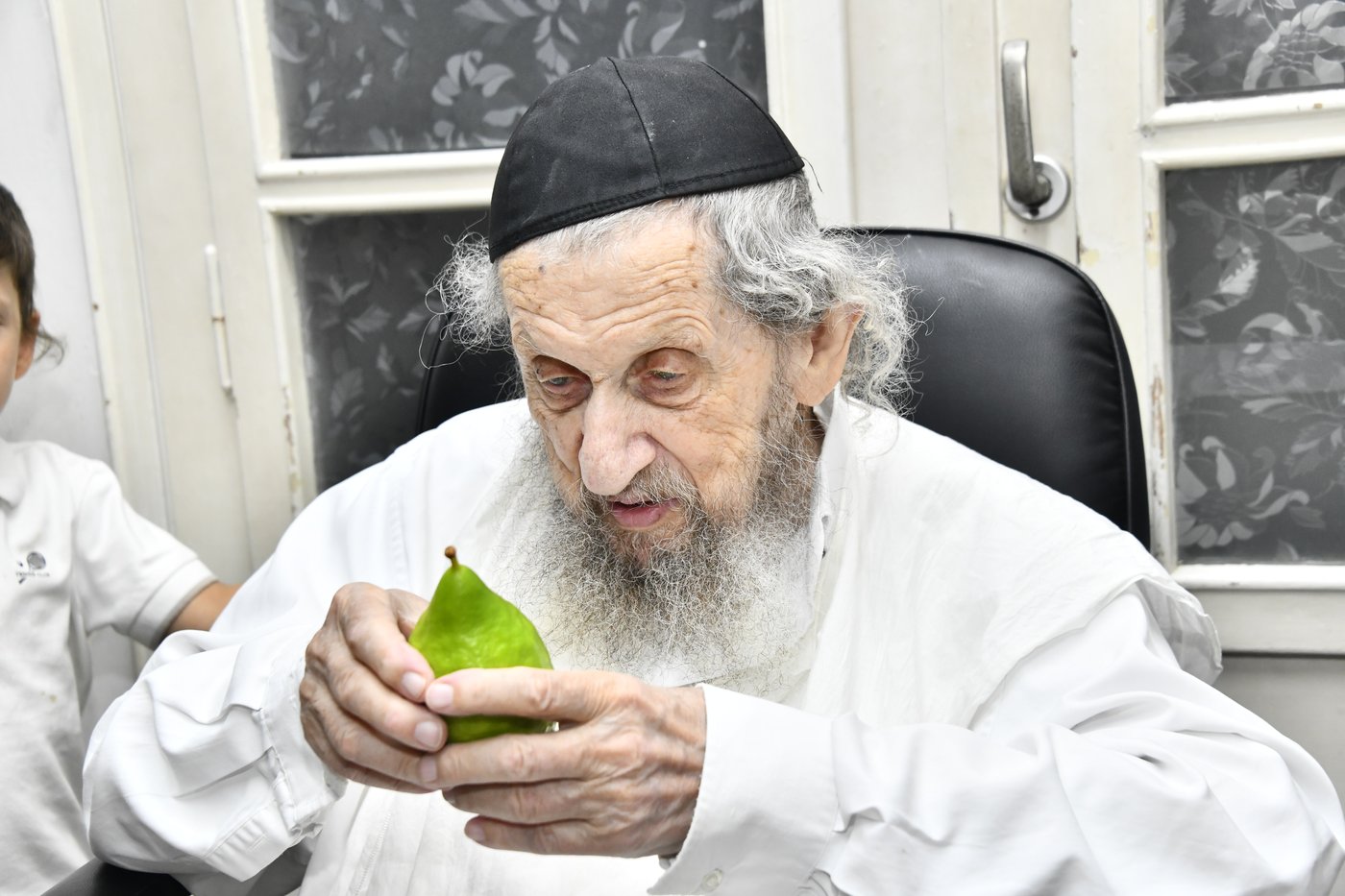 הגאון רבי דב לנדו בודק אתרוגים