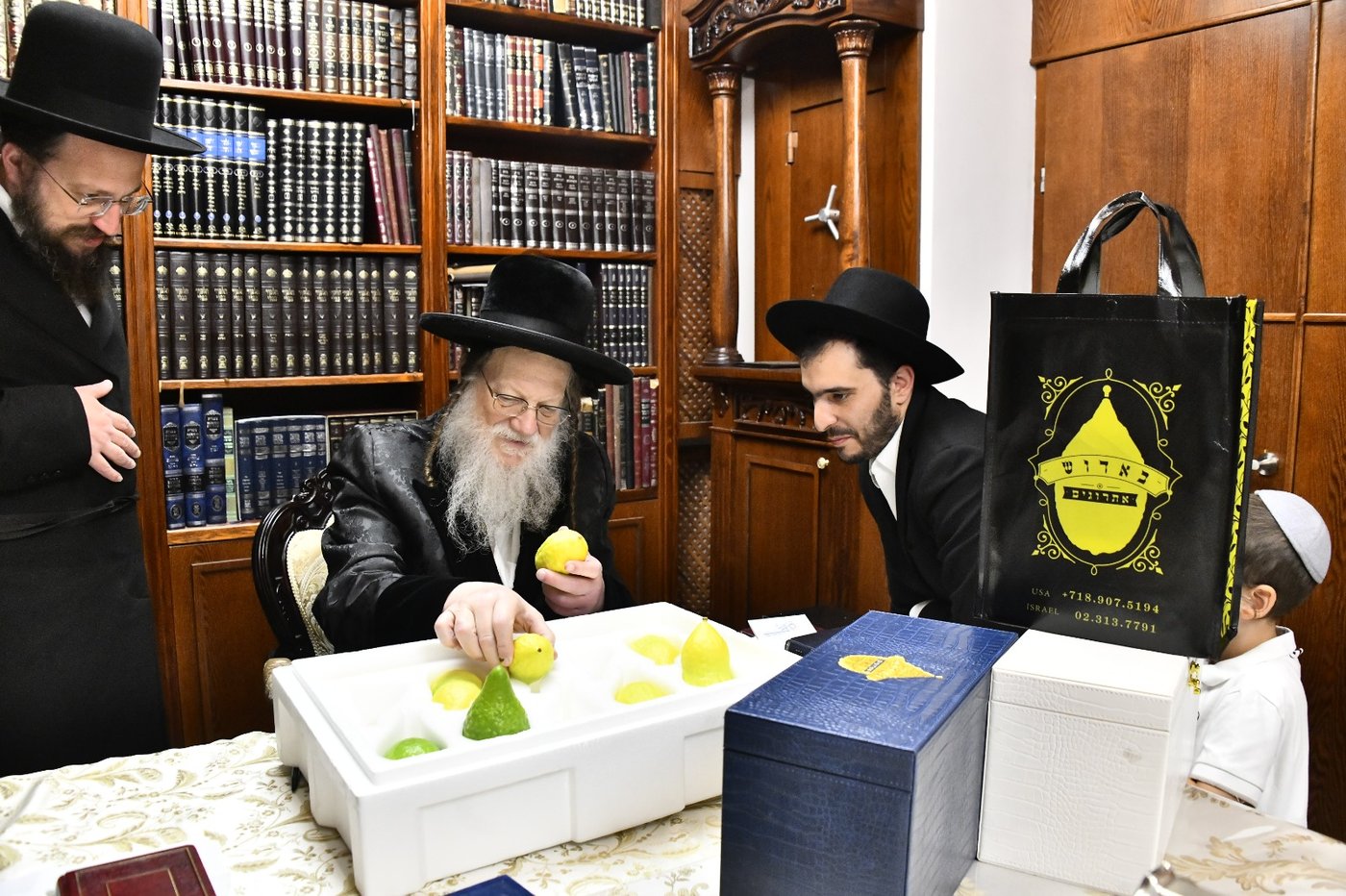 האדמו"ר ממודז'יץ בודק אתרוגים