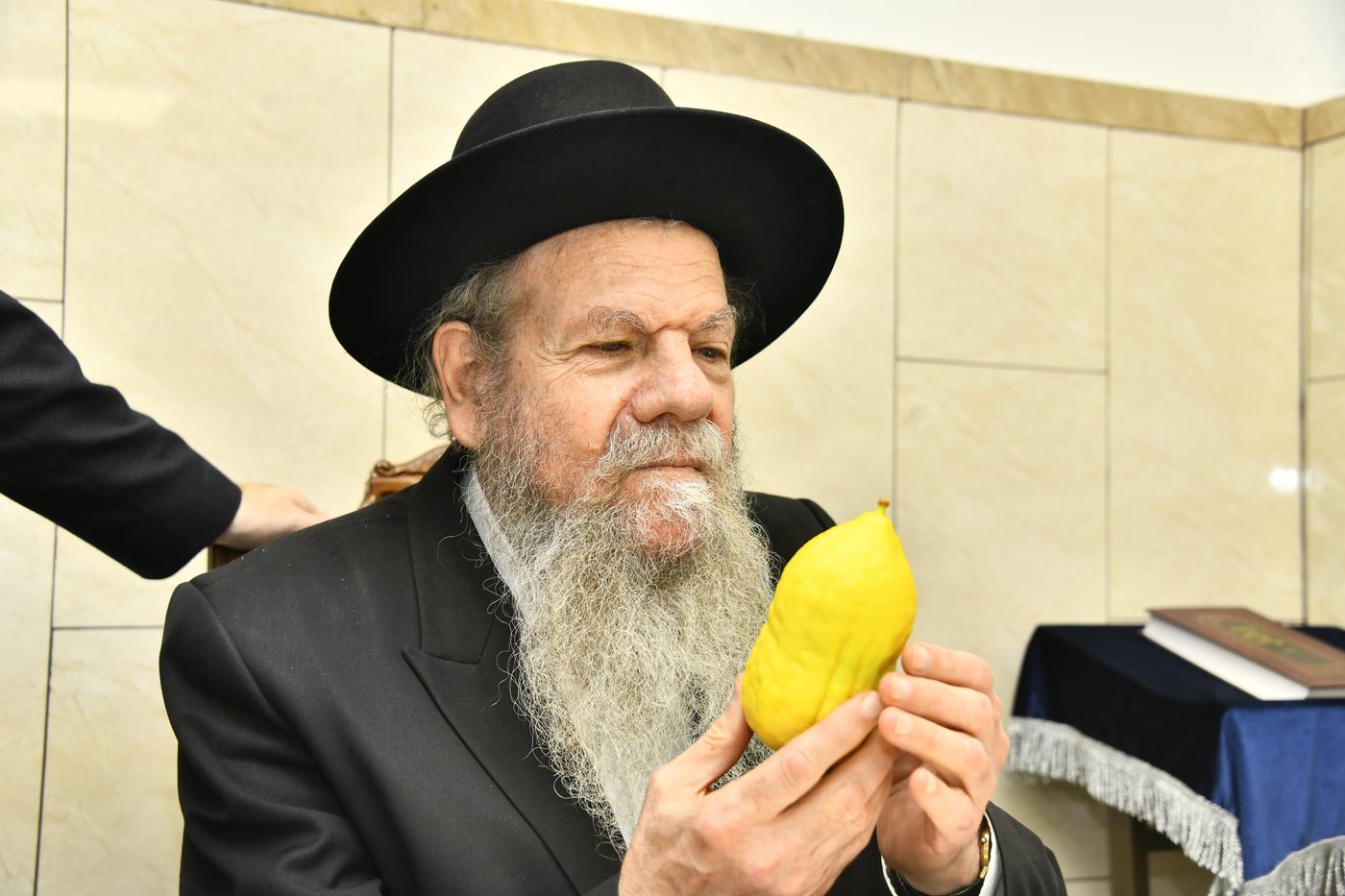 הגרמ"ש אדלשטיין בבדיקת אתרוגים